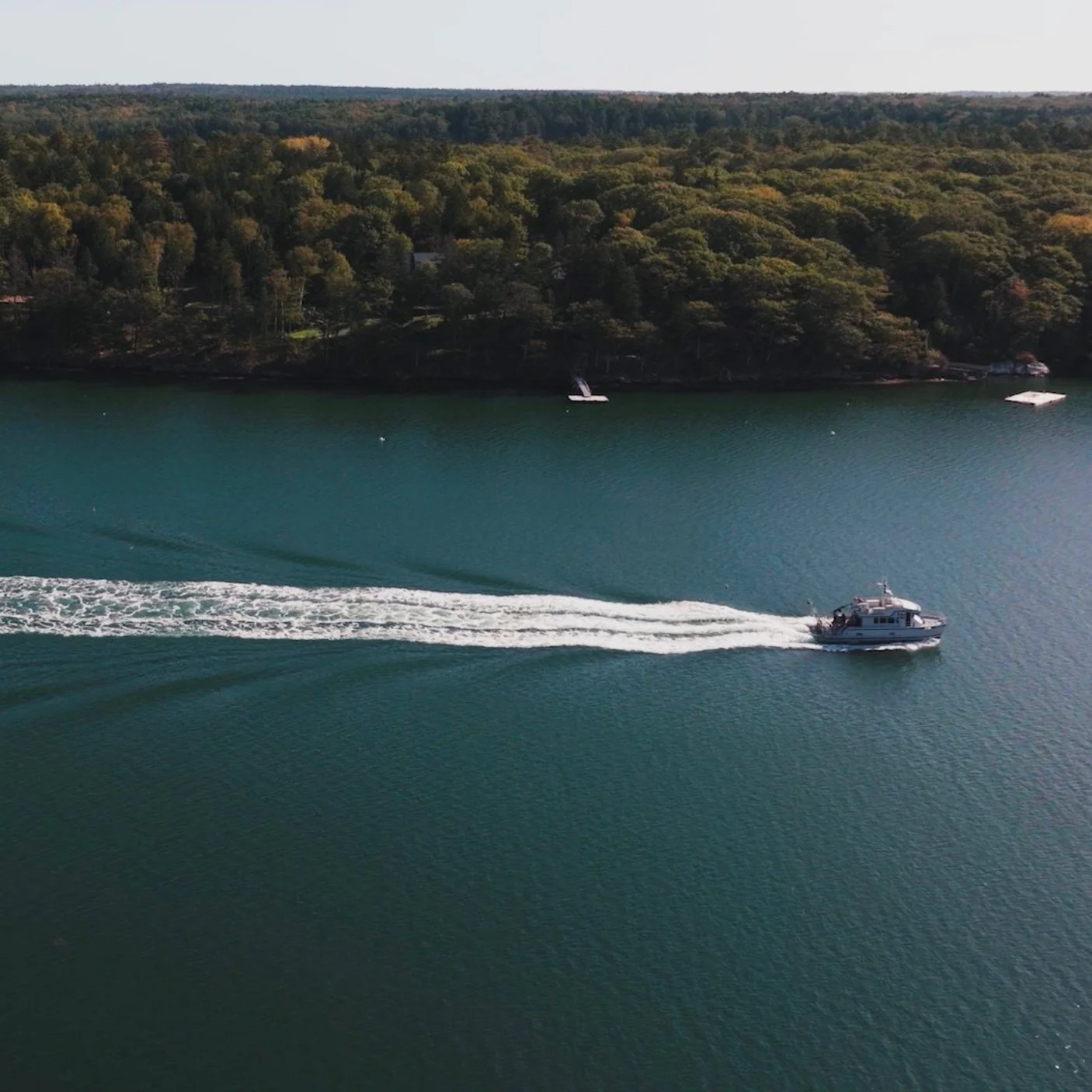 Image 1-21-25 at 1.45 PM.jpg