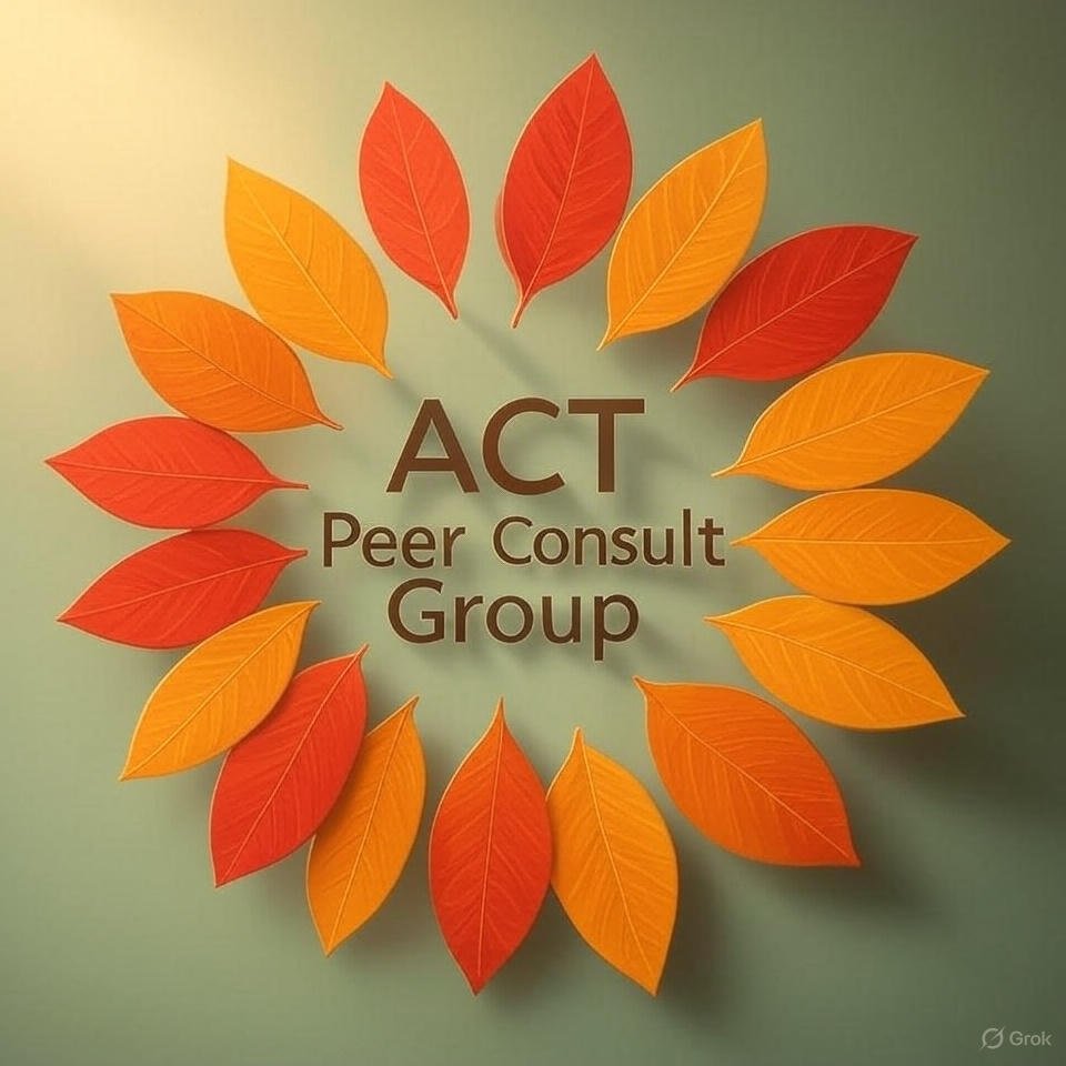 ACT Peer Consultation Group, December