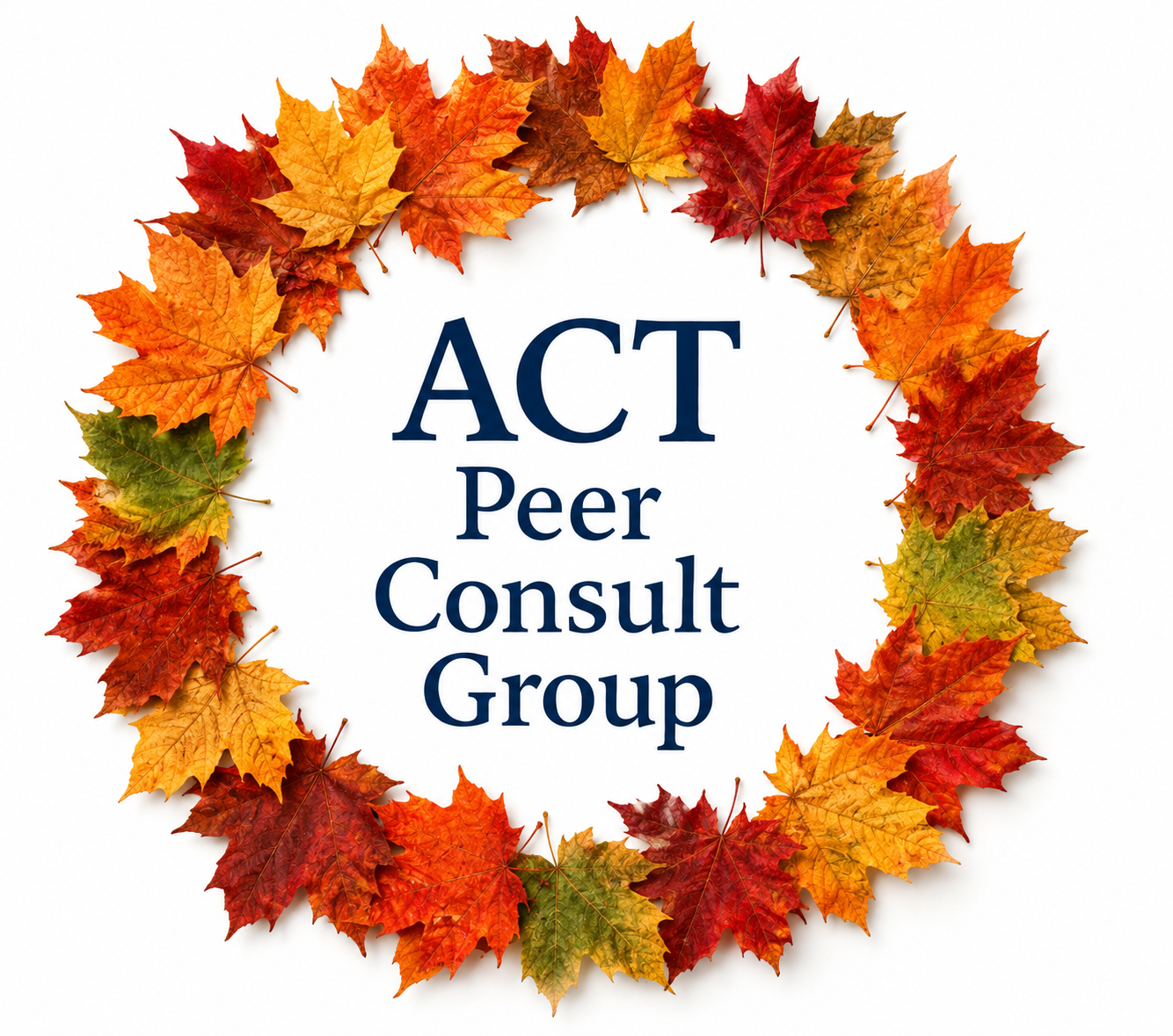ACT Peer Consultation Group, October