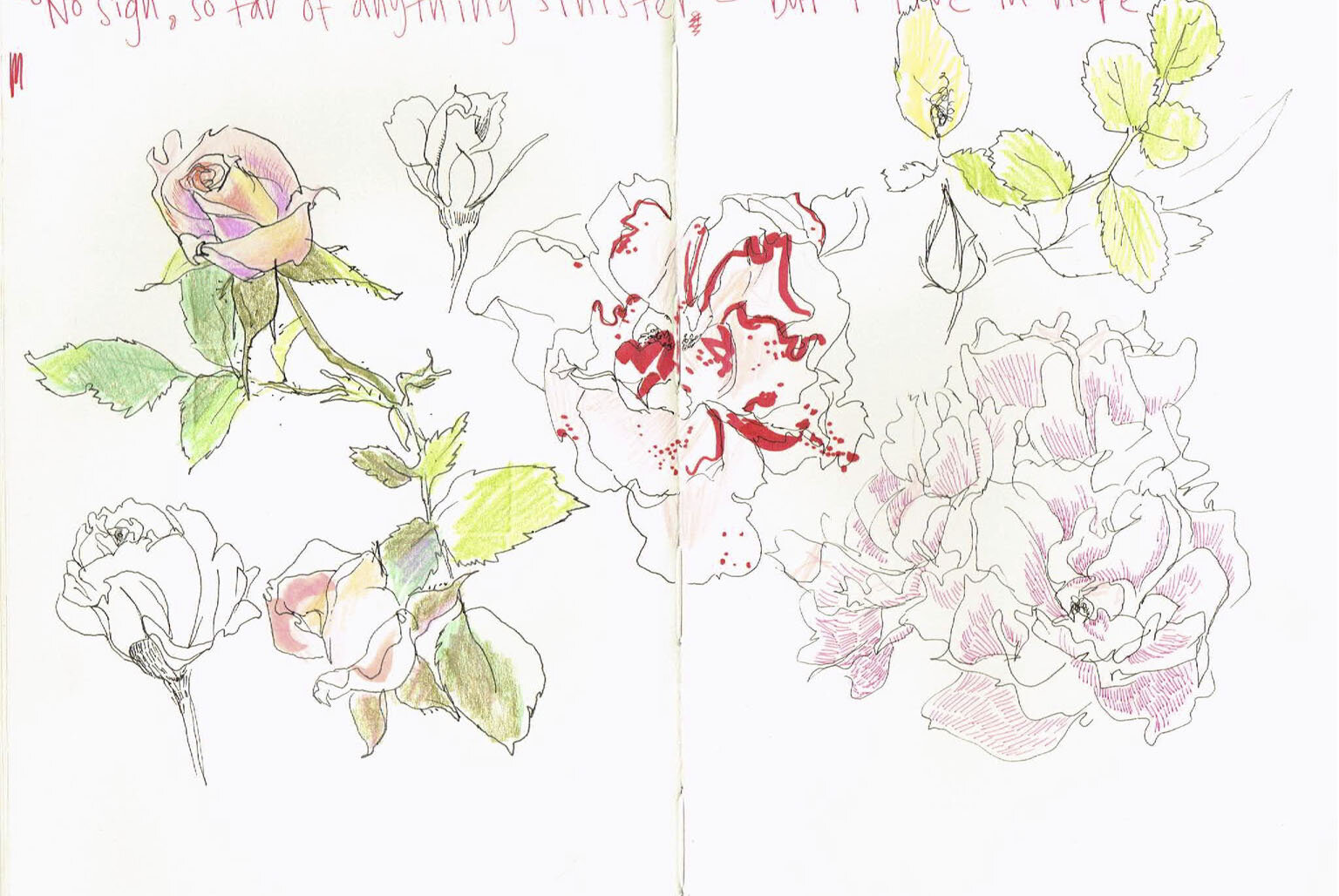 flowers.jpg