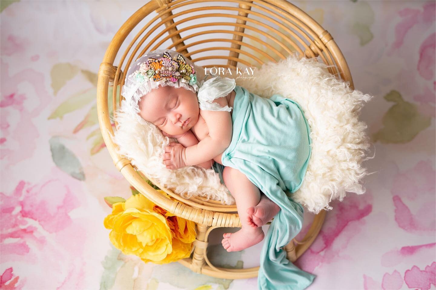 Violet 💜
Such a beautiful baby 🥰
#newbornphotography #lorakayphotography #lorakaynewborn #lorakayphotos #babyfever #summercolors #butterflies #newbornphotography #explorepage #explore #sweetdreams #njphotographer #flphotographer #newborn