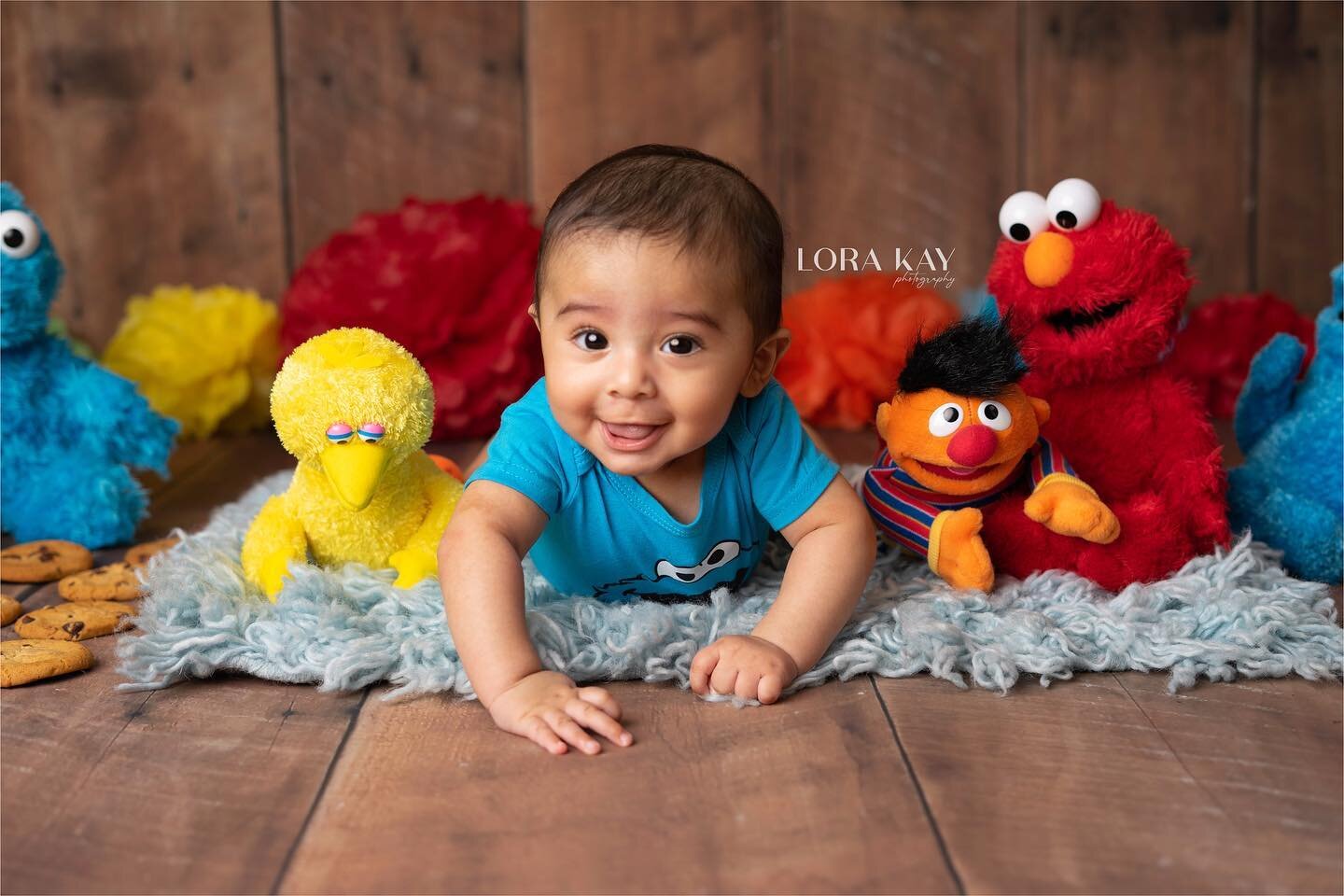 Kenzo is 6 months ❤️
They grow so fast, 🥺
#6monthsold #milestonephotography #milestones #lorakayphotos #lorakayphotography #sesamestreet #elmo #bigbird #cookiemonster #babyboy #cleansetups #explore #explorepage #lovebabies #milestonephotography #bab