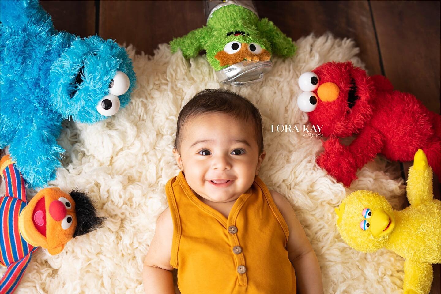 Kenzo is 6 months ❤️
#6monthsold #milestonephotography #milestones #lorakayphotos #lorakayphotography #sesamestreet #elmo #bigbird #cookiemonster #babyboy #cleansetups #explore #explorepage #lovebabies #milestonephotography #babymilestones