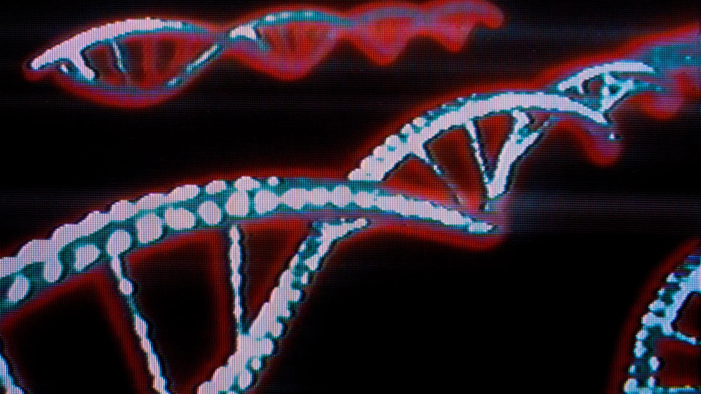 Film screening “distant—brains” 16.1.2026 at the Champalimaud Foundation