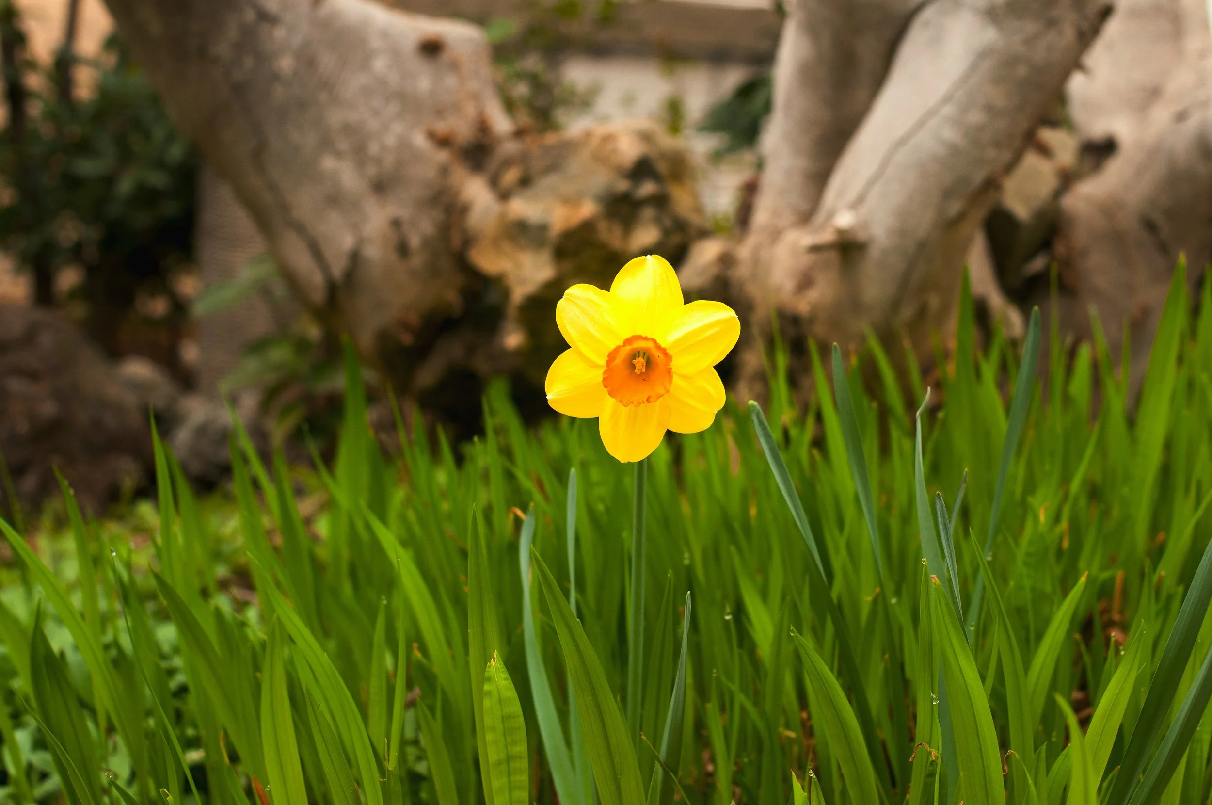 Spring Momentum: Why Now Is a Critical Time for Marketing Recruitment