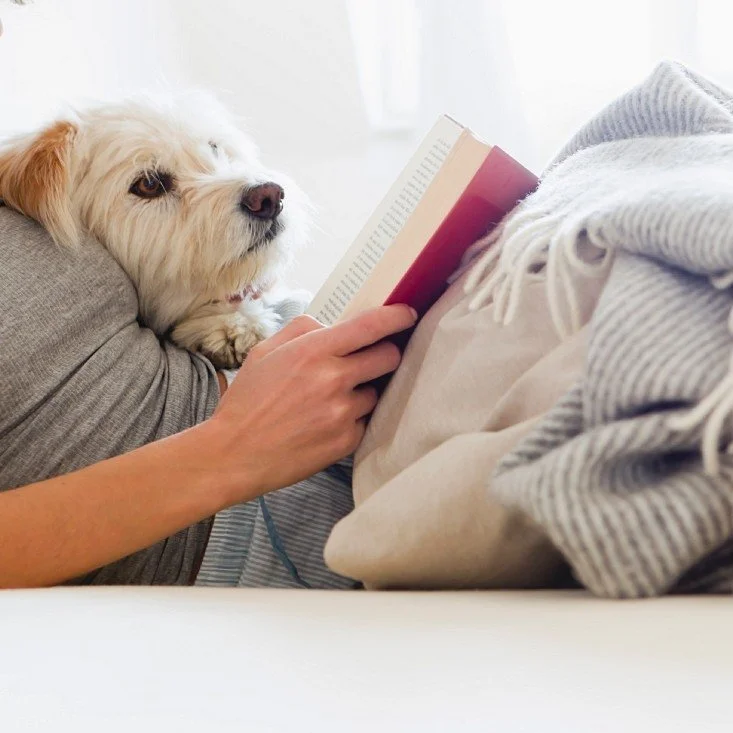 📚 Happy Book Lovers Day! 📚
We&rsquo;re celebrating readers everywhere and the images that tell their stories.
Looking for the perfect shot of bookworms in their natural habitat?
📸 Our library is stacked with cozy, creative, and scroll-stopping boo