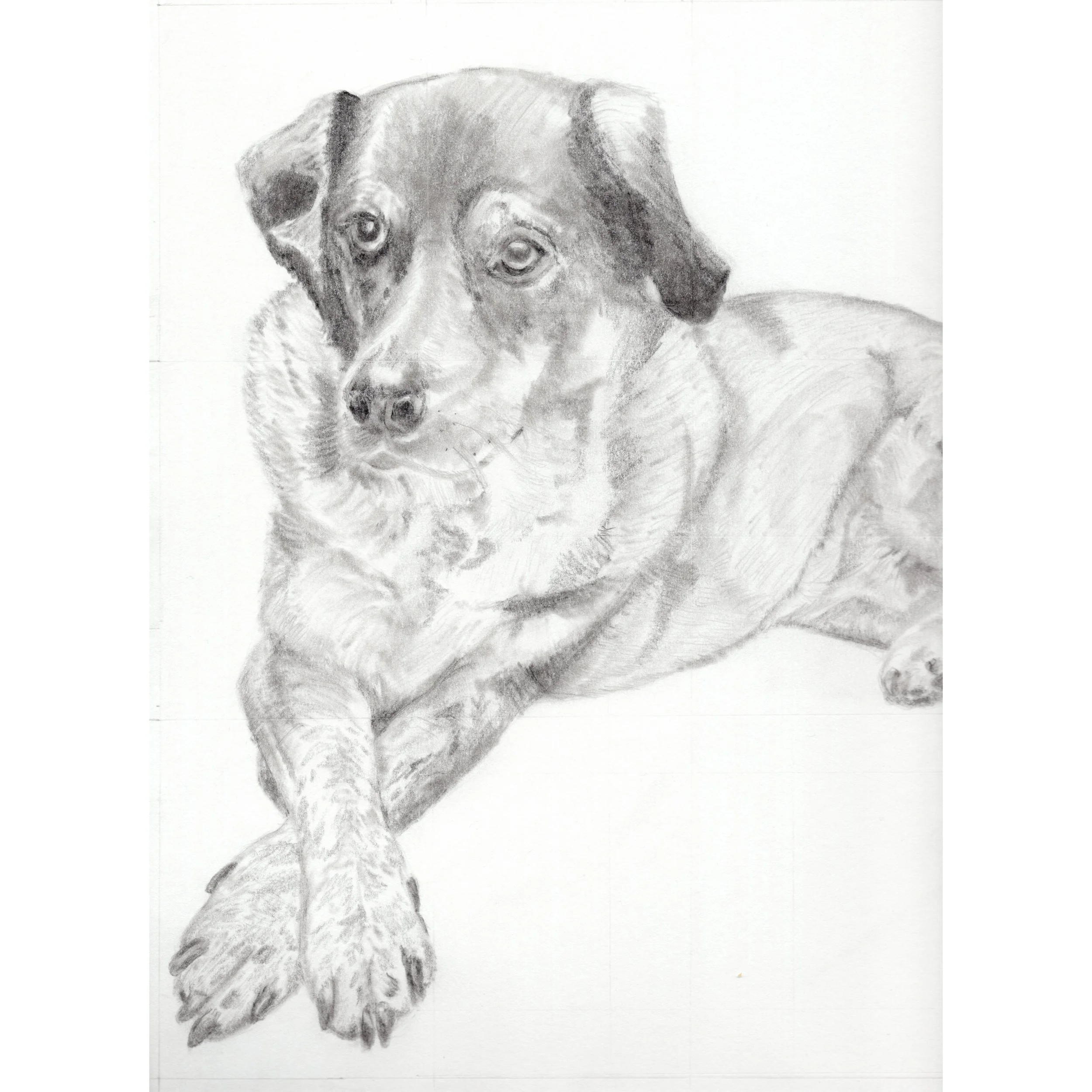 Josh Selvig Commission