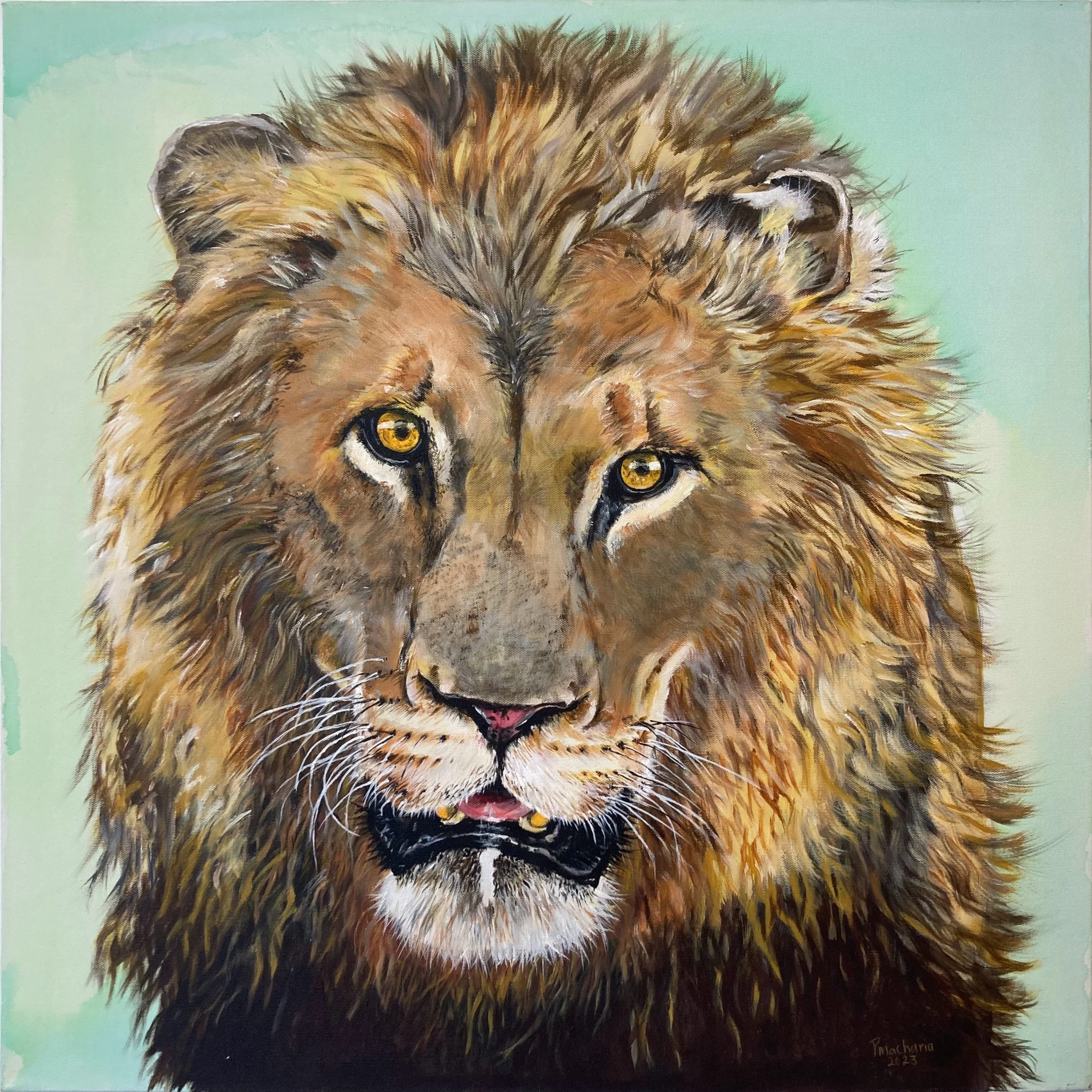 Lion by Paul Macharia