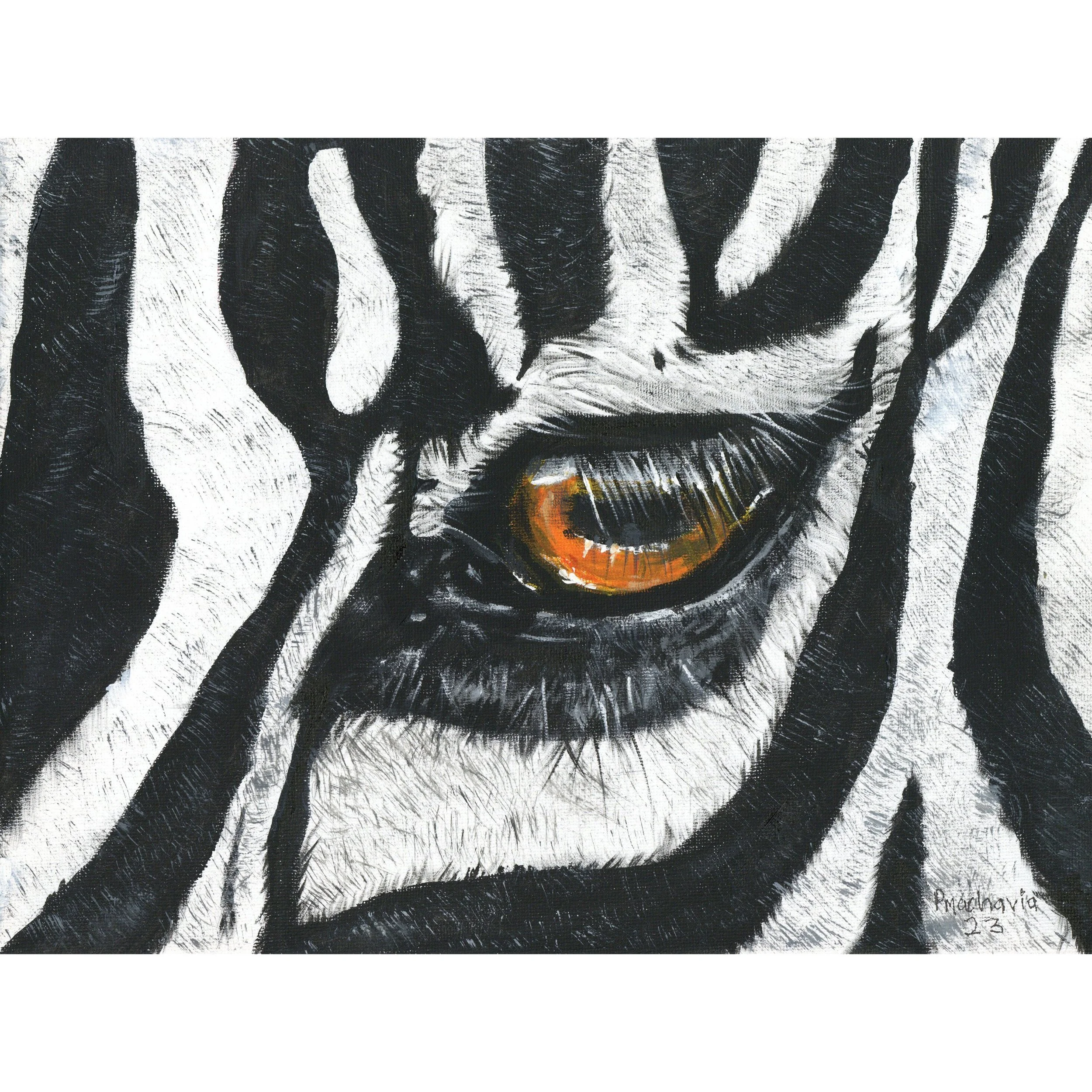 Zebra Eye by Paul Macharia