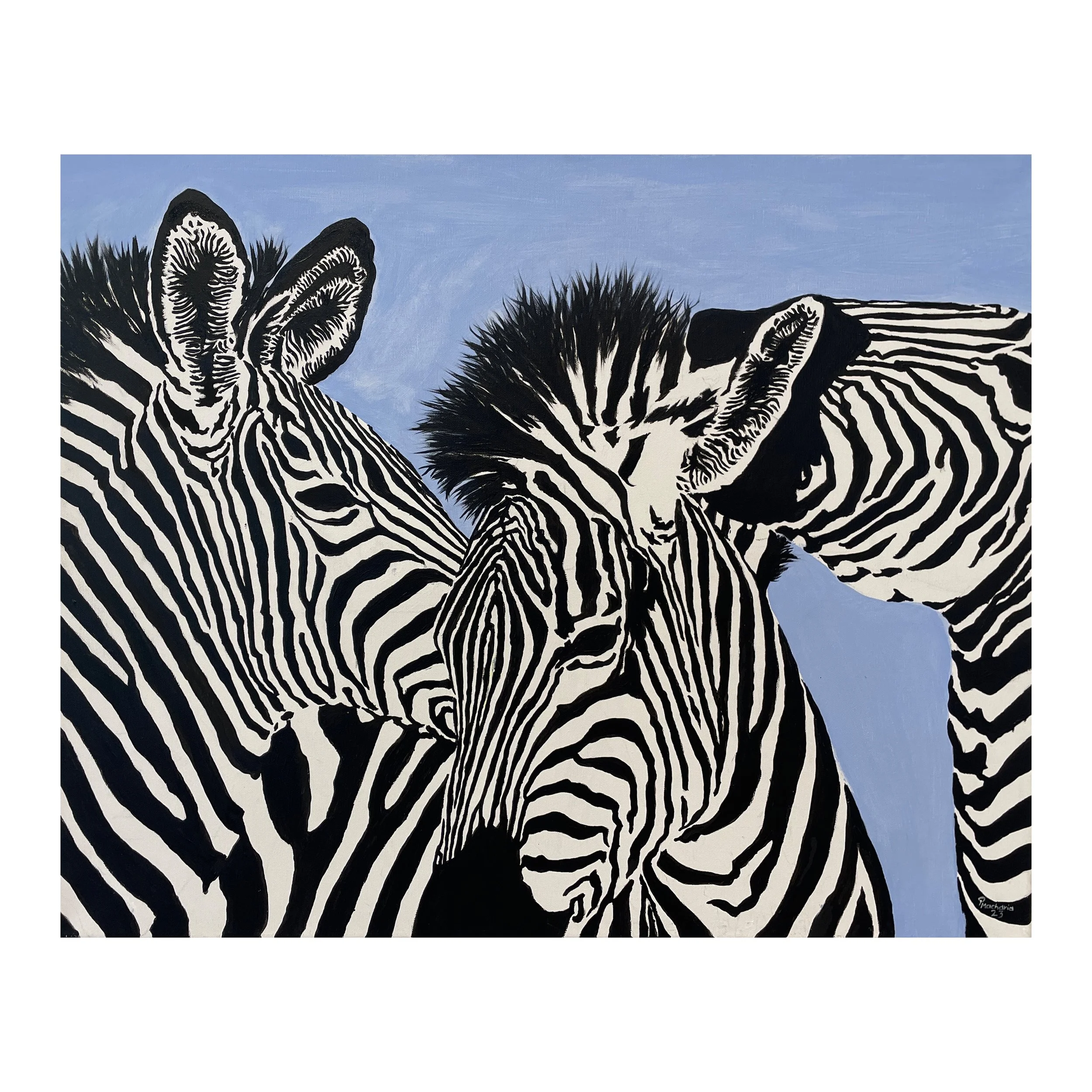 Zebras by Paul Macharia