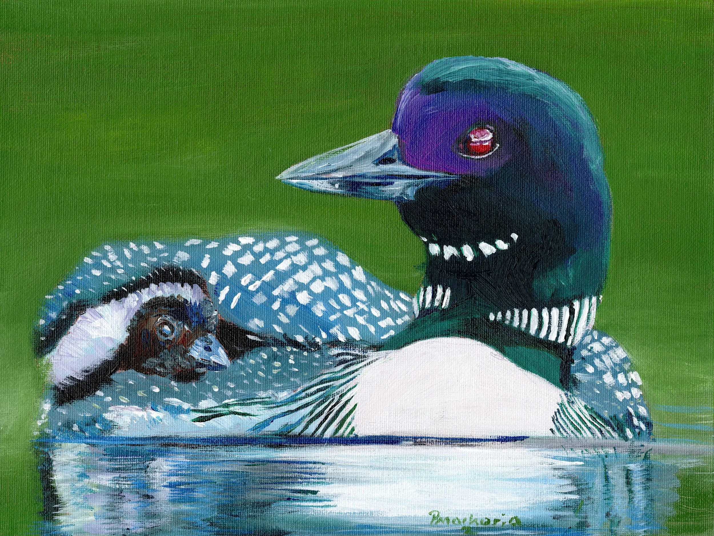 Colorful Loon.jpg