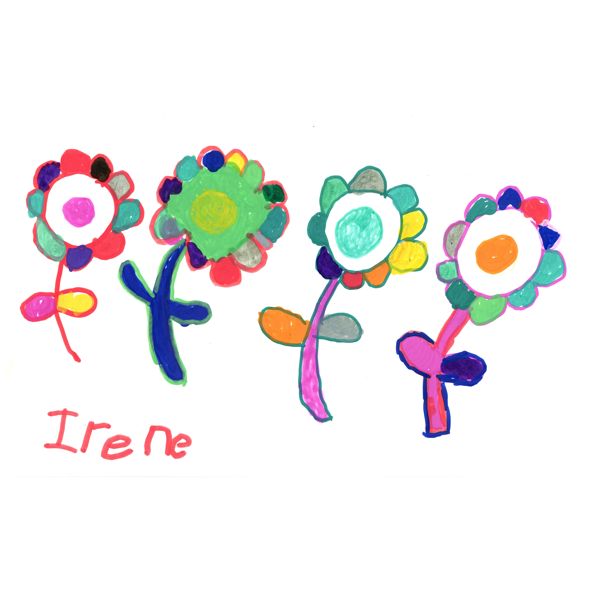 IR3.png