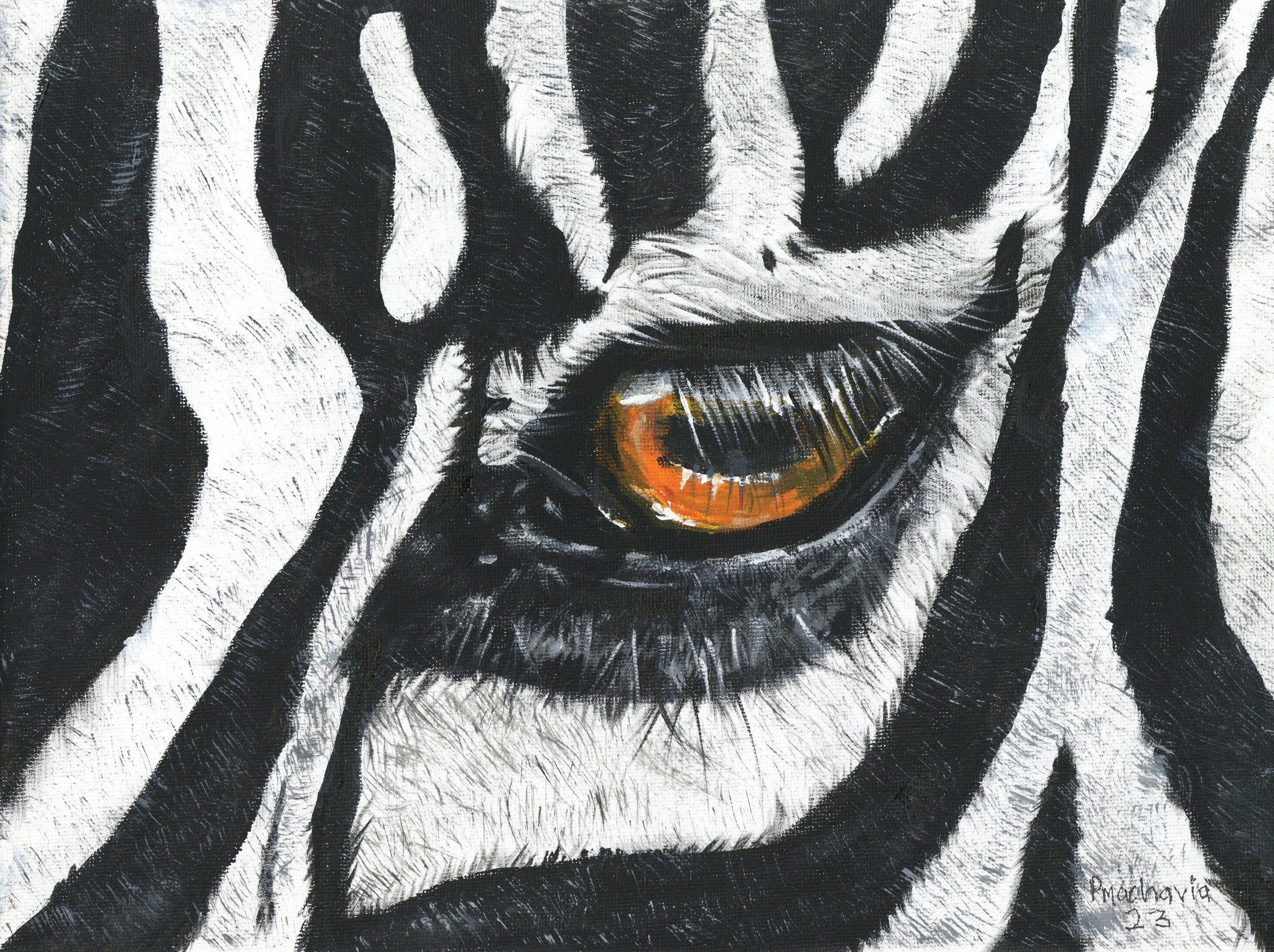 Paul M Zebra Eye 9x12 2023.jpg