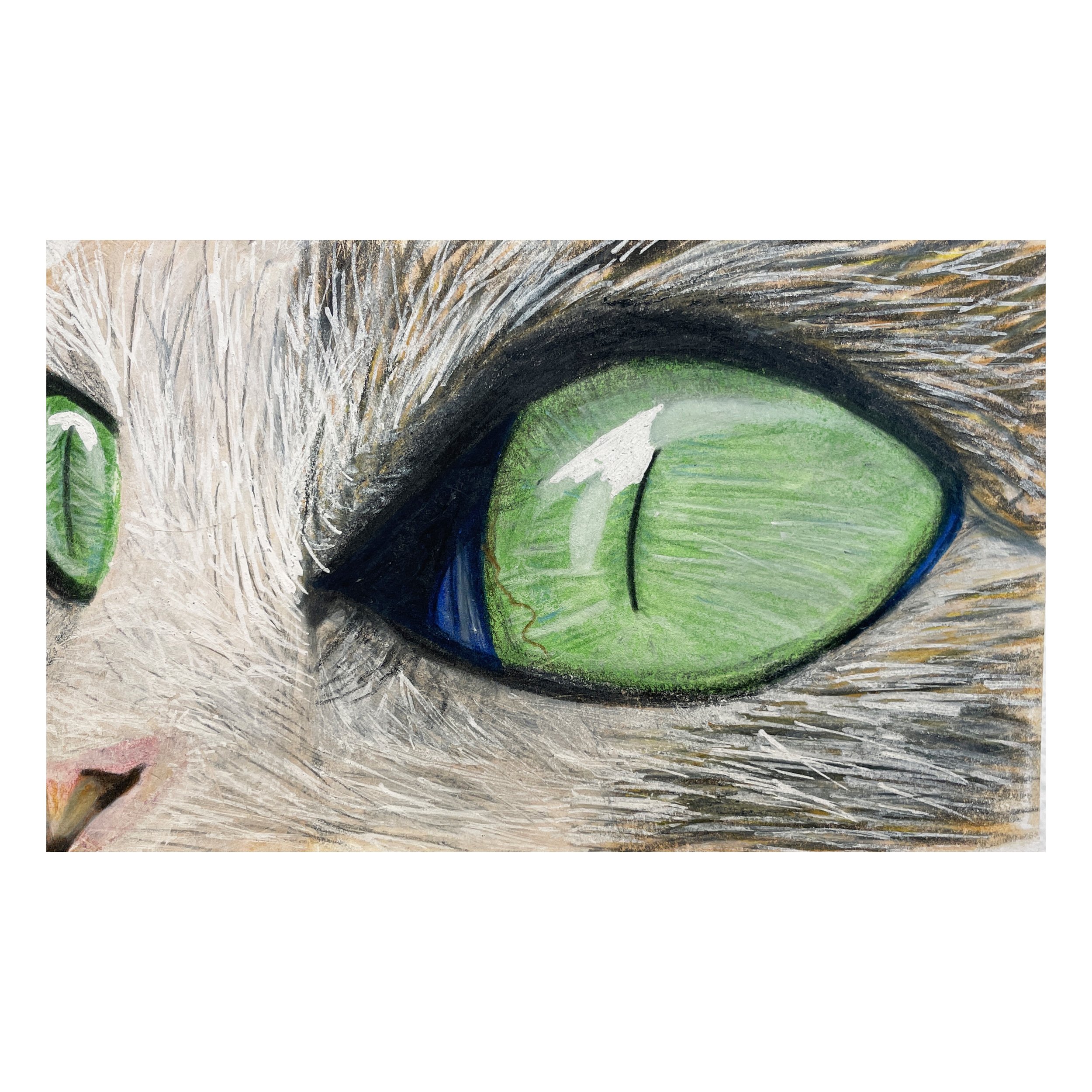 Cat Eyes by Henry Wenzel