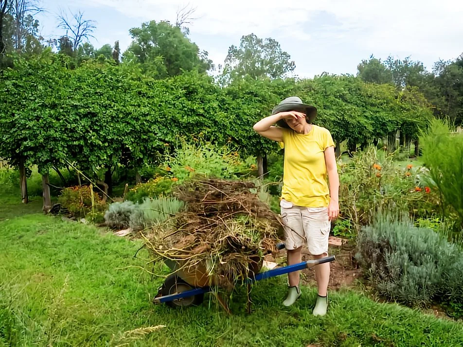 What About the Weeds? Toxic Culture, Part I