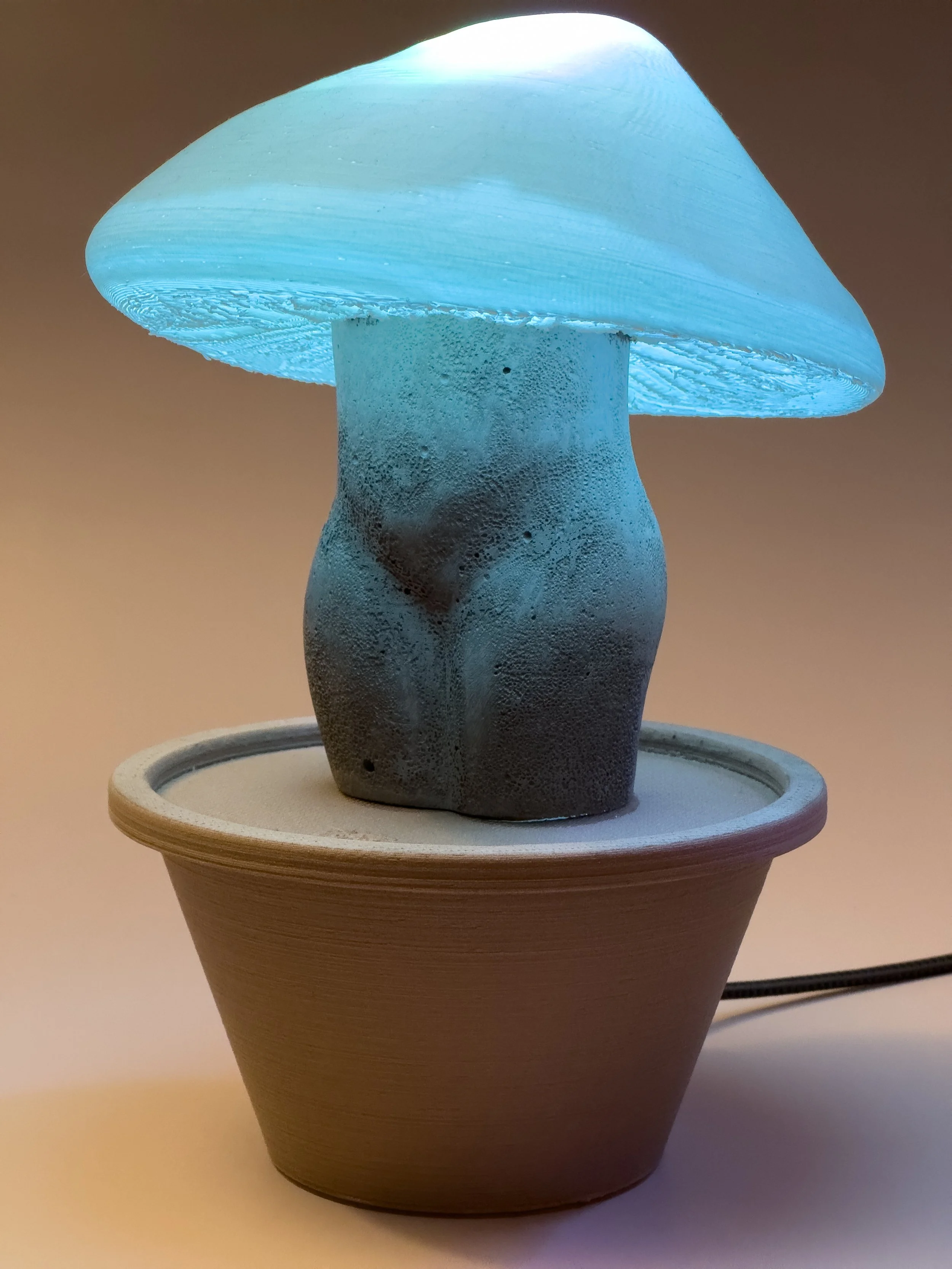 Desk Lamp