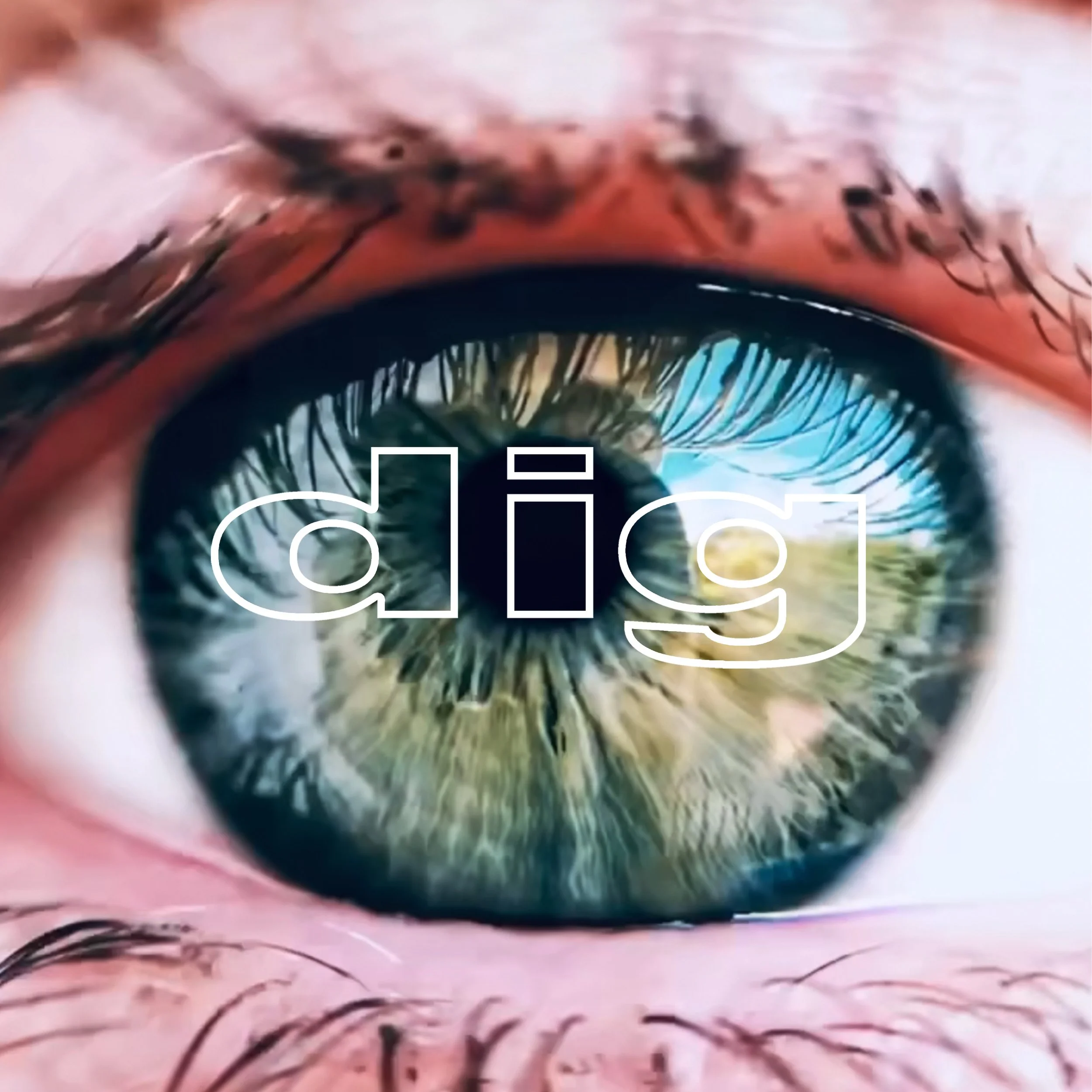 DIG EYE LID BLUE A.jpg