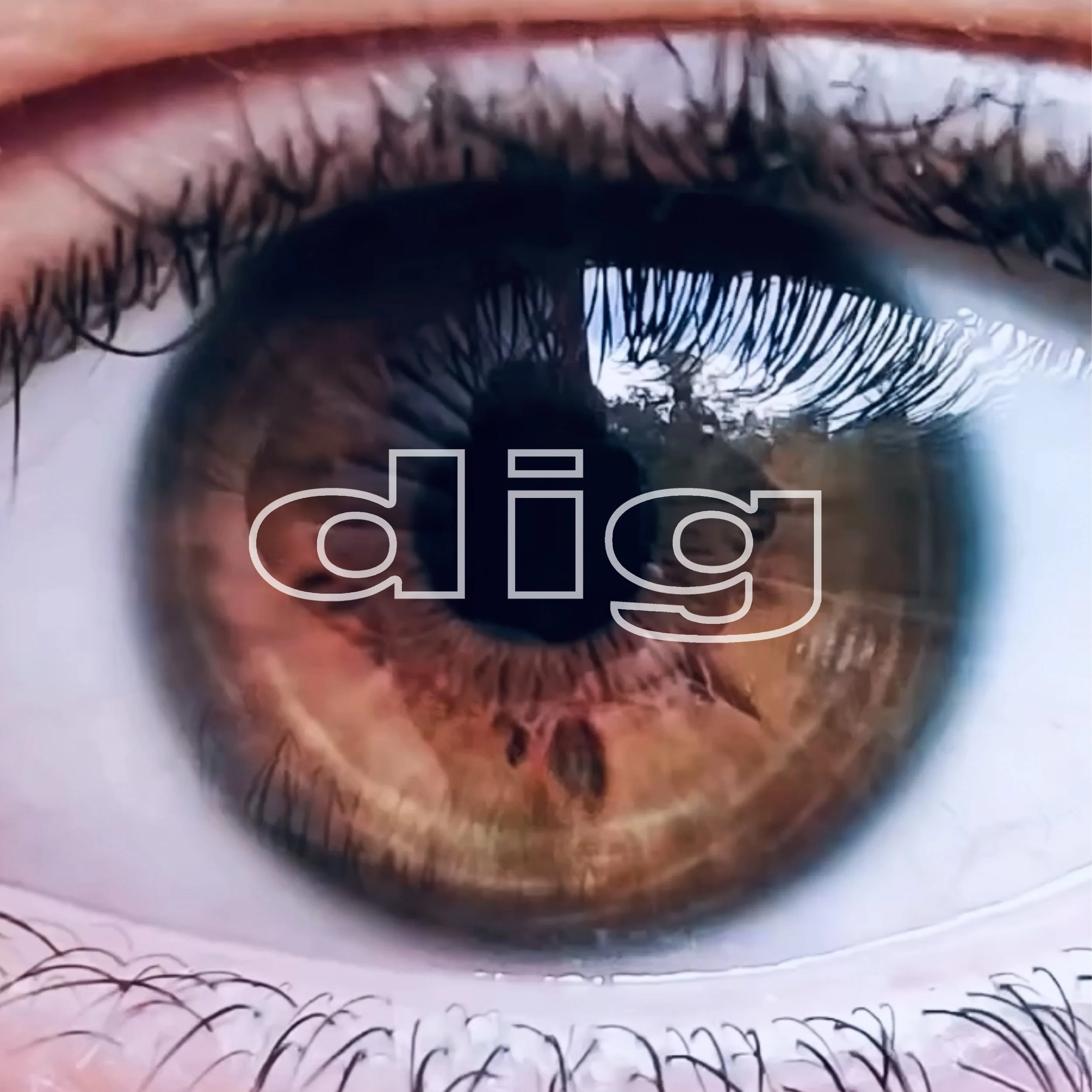 DIG EYE LID BROWN C.jpg