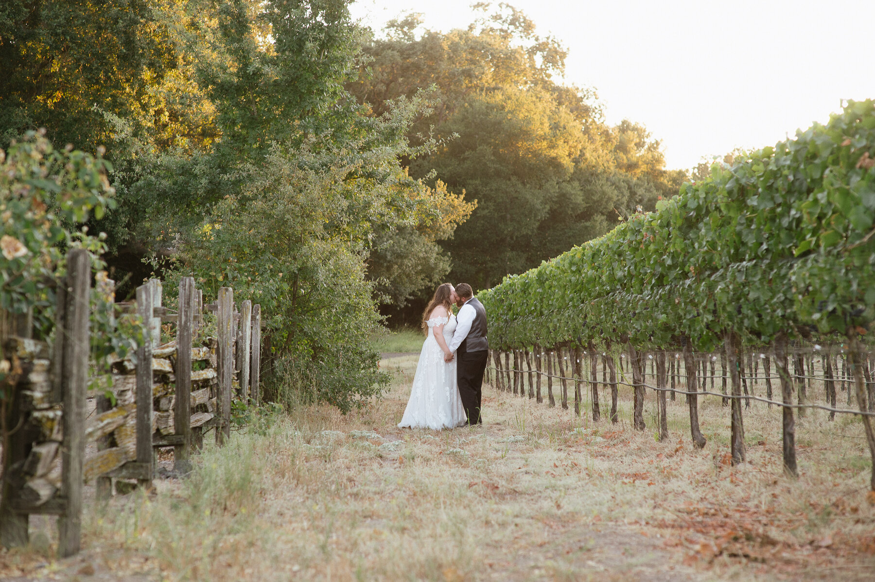 56-rohnert-park-california-wedding-photographer-fine-art-film-photography-michaela-joy.jpg