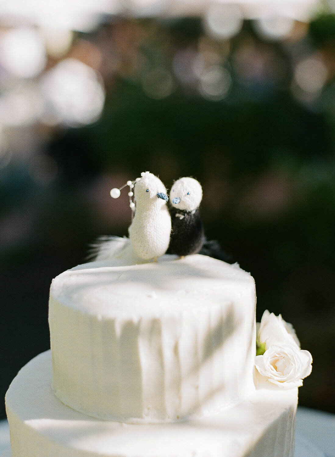 111-stanford-california-engagement-wedding-fine-art-film-photography-michaela-joy.jpg