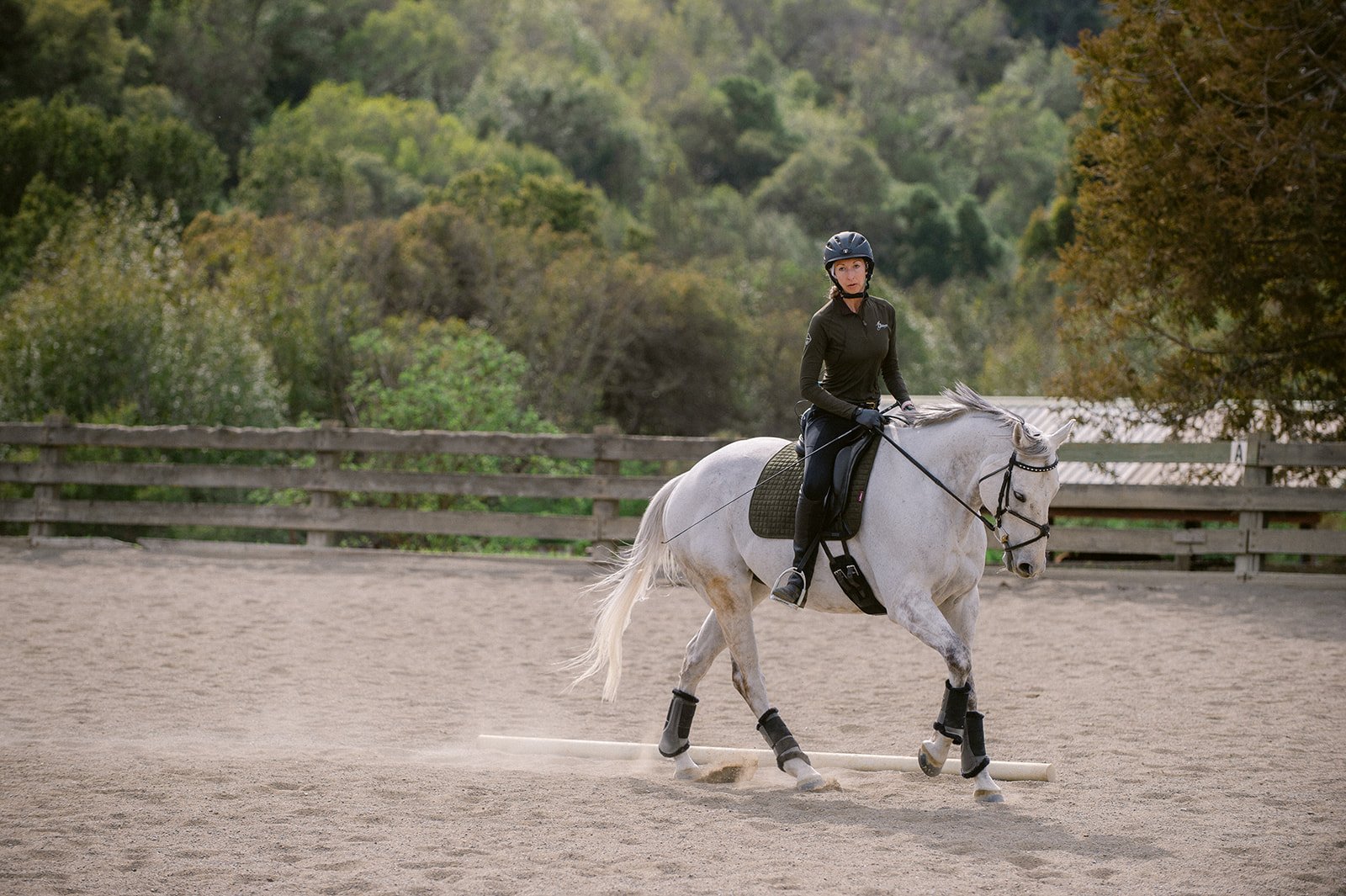 194-JOY_0847-michaela_joy_photography-dressage_websize.jpg