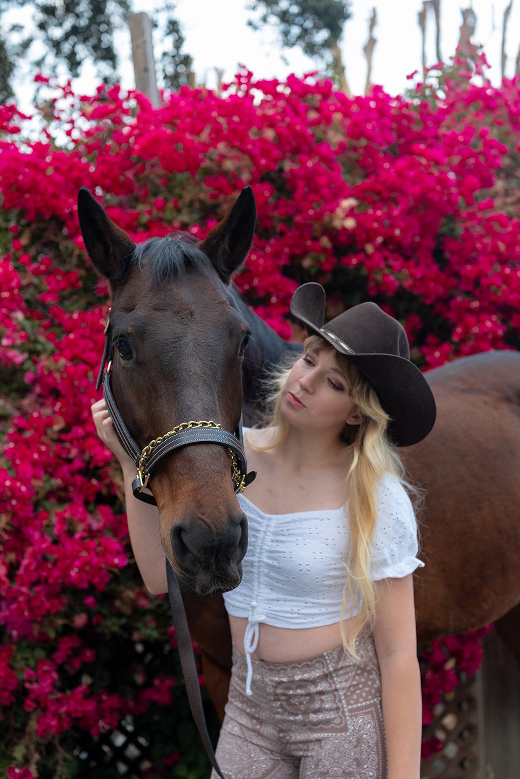 116-FMJP8212-michaela-joy-photography-horse_websize.jpg