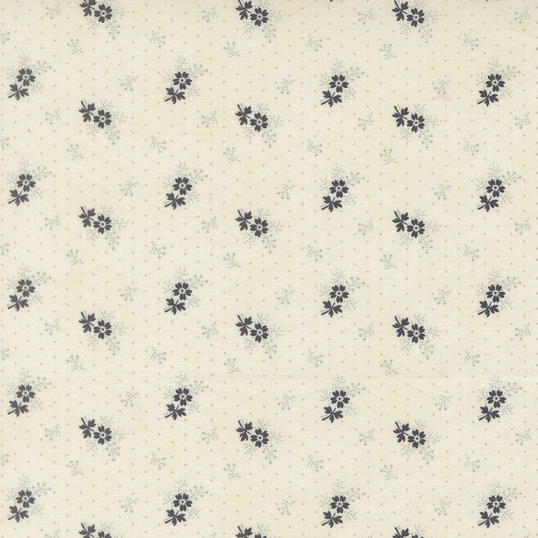 44406 11.jpg