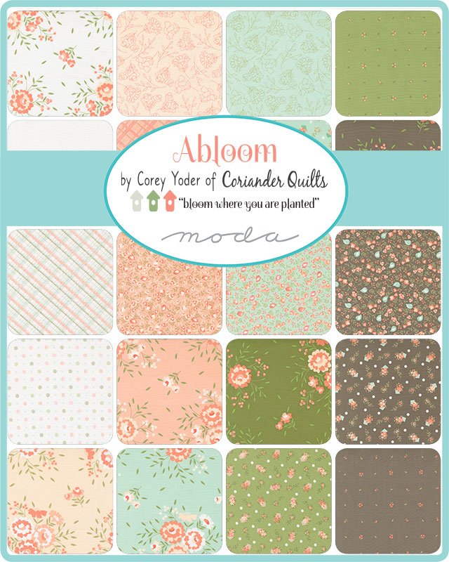 Asst-Abloom-image.jpg