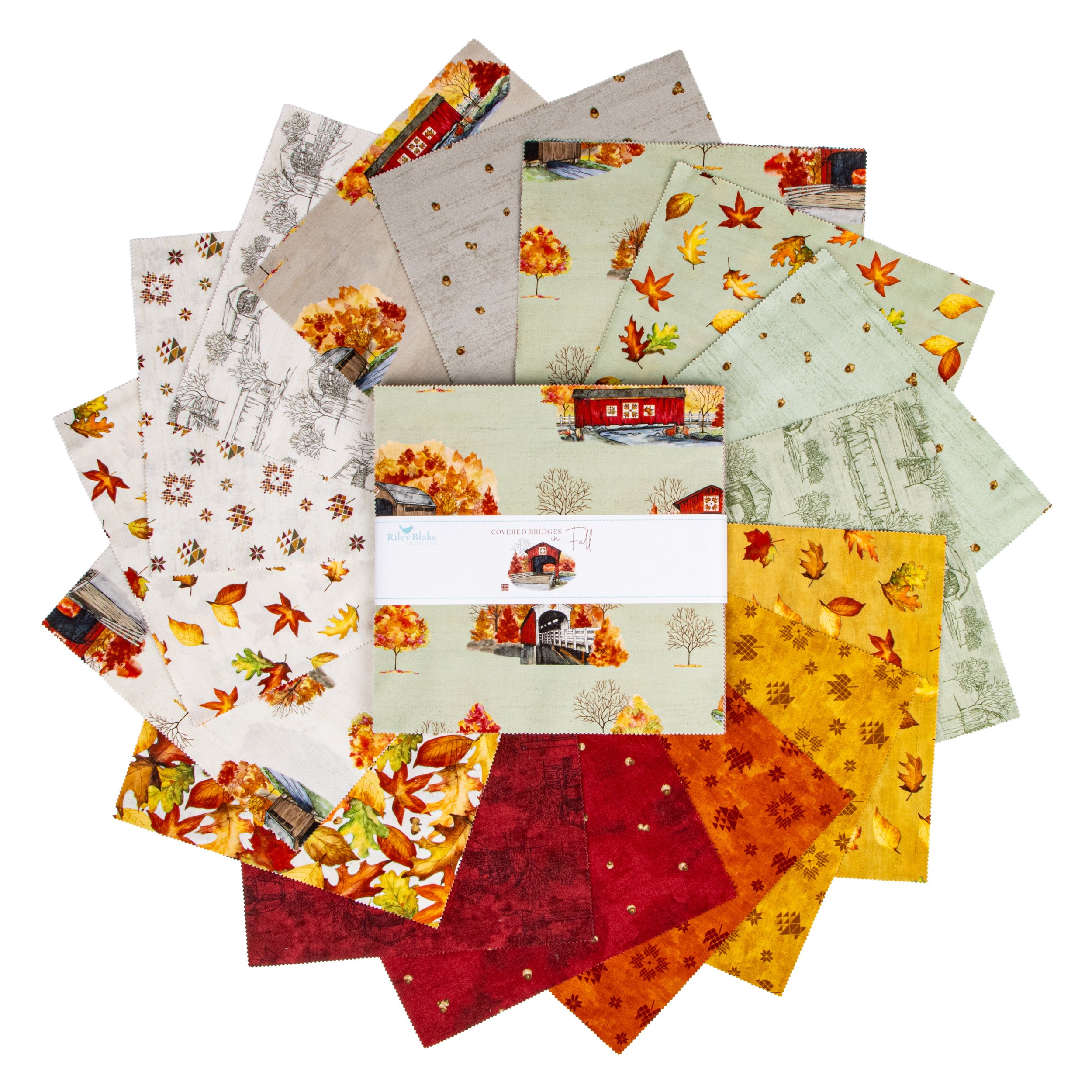 10-16210-42-Fanned.jpg