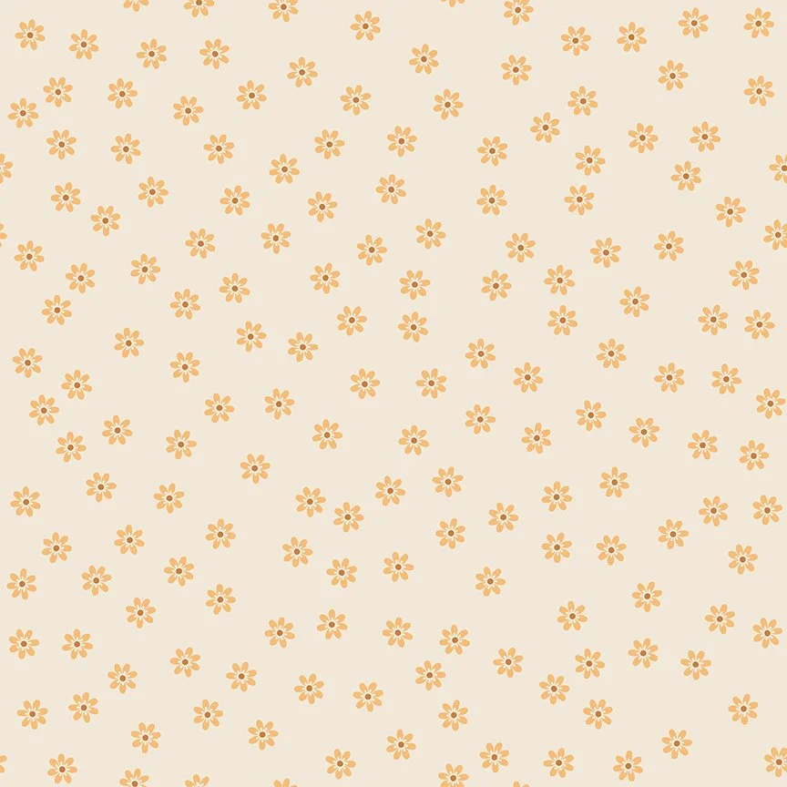 C18150-DAISY-72dpi.jpg