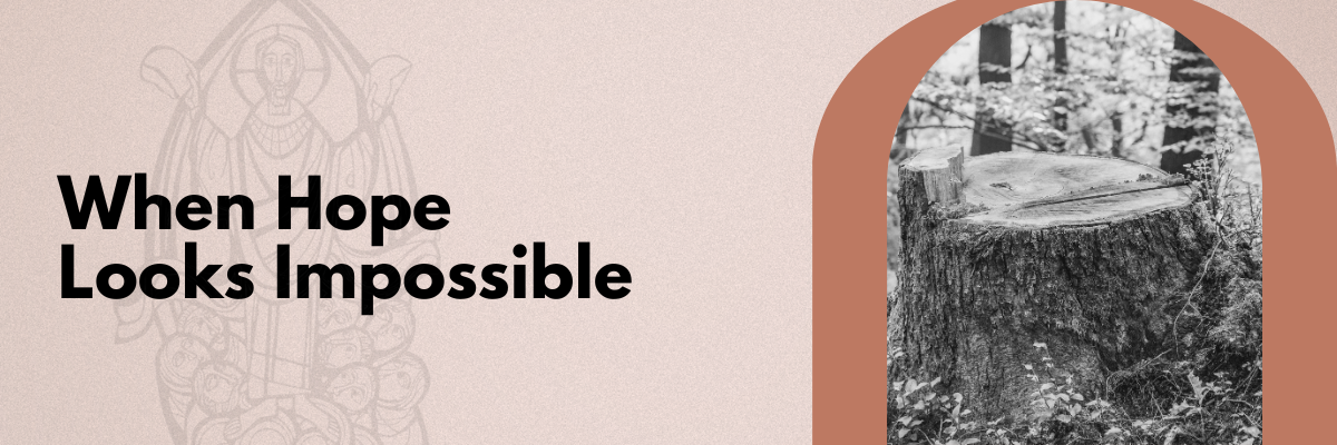 when hope looks cut down to the stump