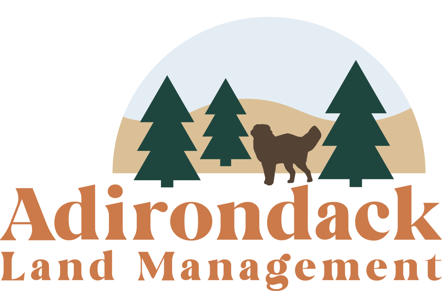 Adirondack Land Management