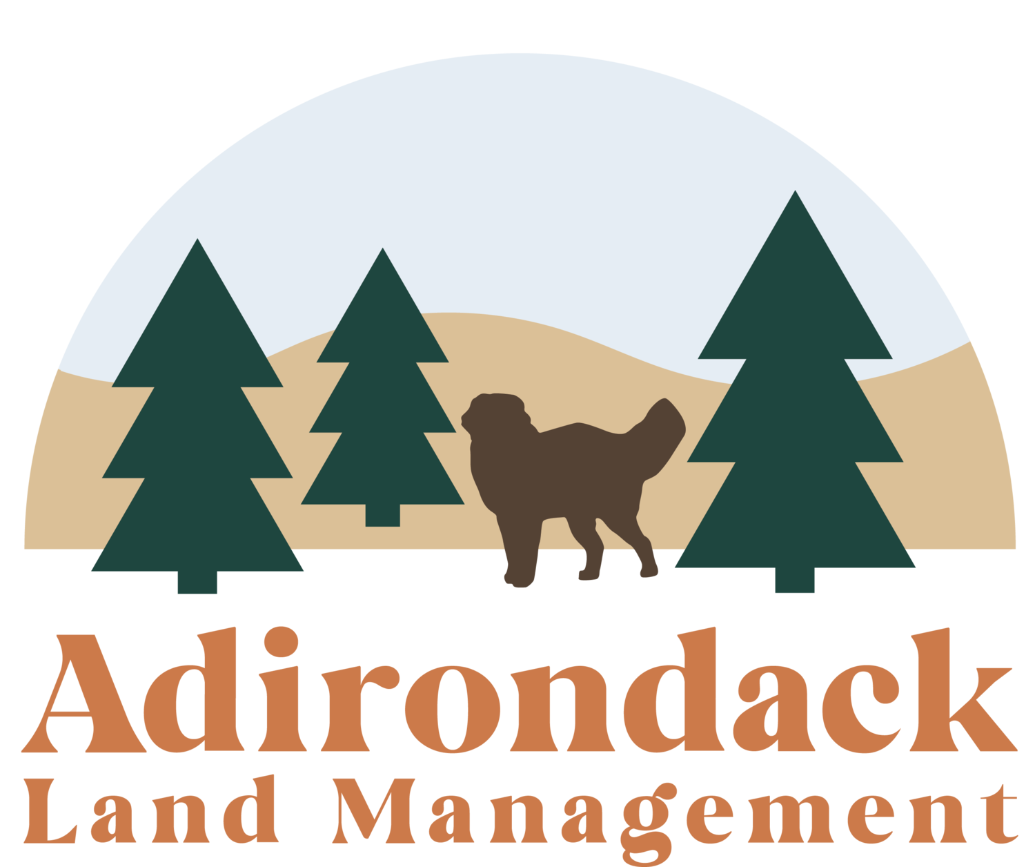 Adirondack Land Management