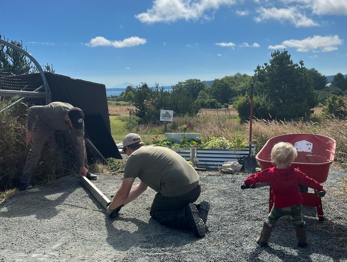 Being a small nonprofit, our team members wear a lot of different hats. And here&rsquo;s a prime example! We have Sean, Executive Director, and Angela, Operations Director, out at our Whidbey farm putting in the work to get a new shed built. But none