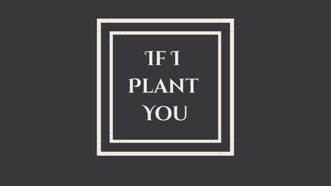 If I Plant You
