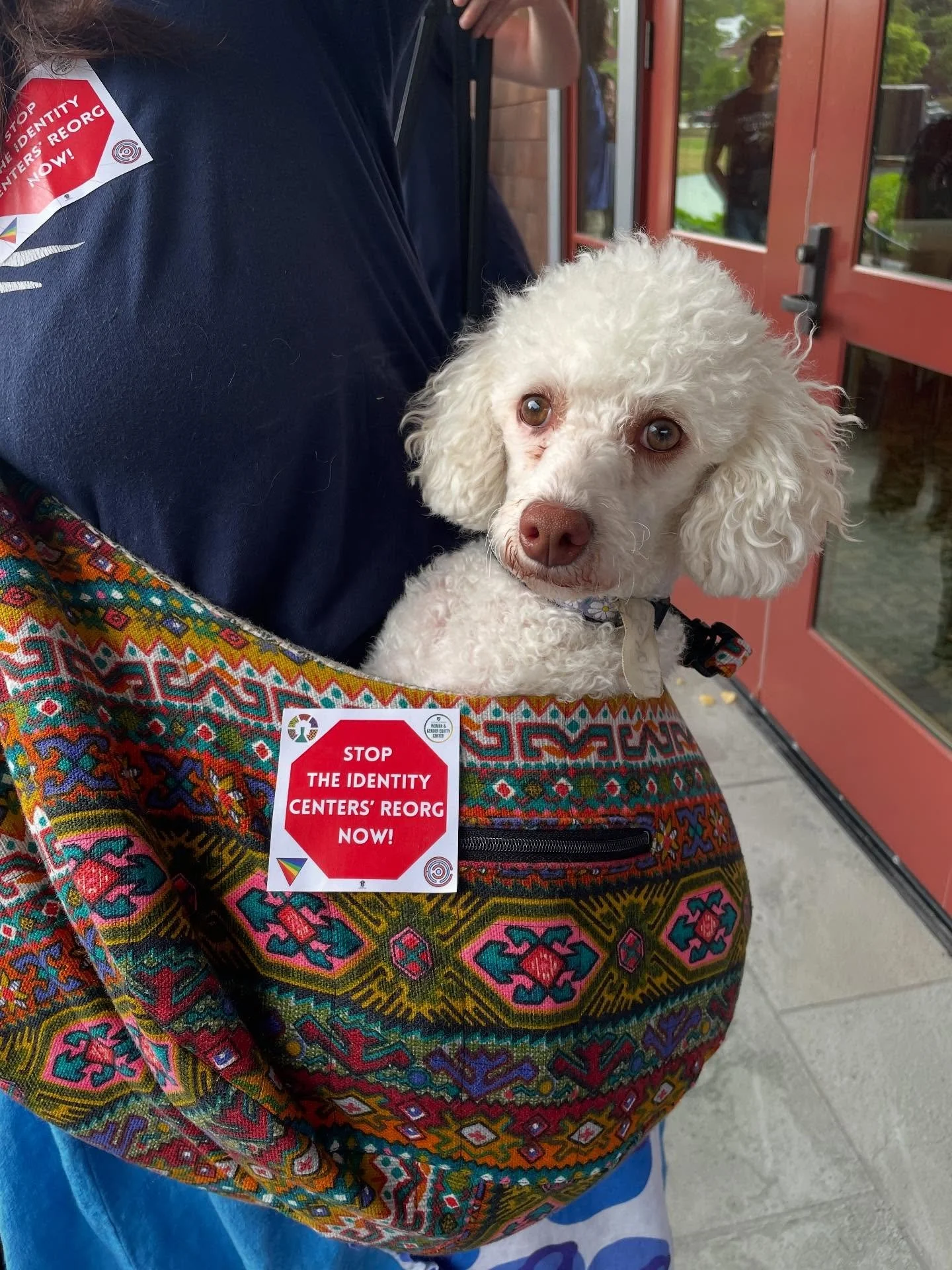 Margot the union dog says our queer and trans students need specialized support! She thinks that reorganizing our campus identity centers into one conglomerate is complying in advance, and isn’t in our best interest. She stands (and sits) with