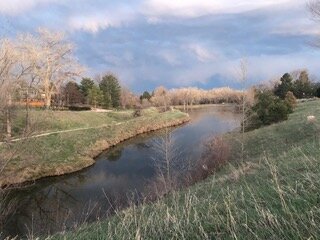 IMG_5330.jpeg