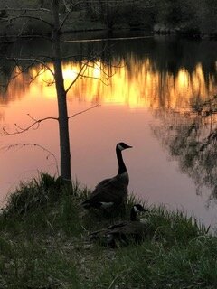 IMG_6819.jpeg