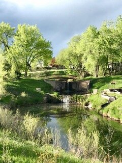 IMG_6647.jpeg