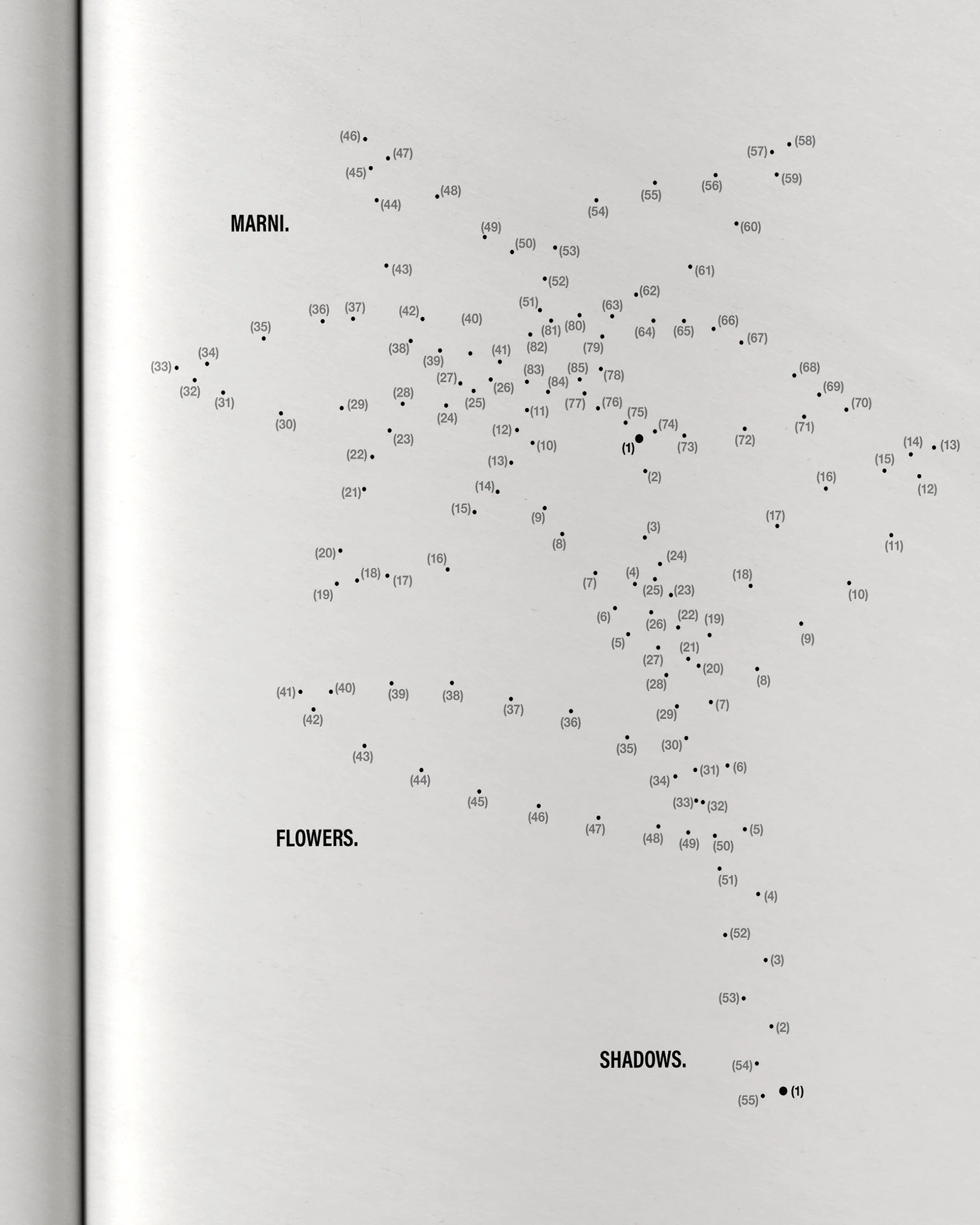 Marni 5.jpg
