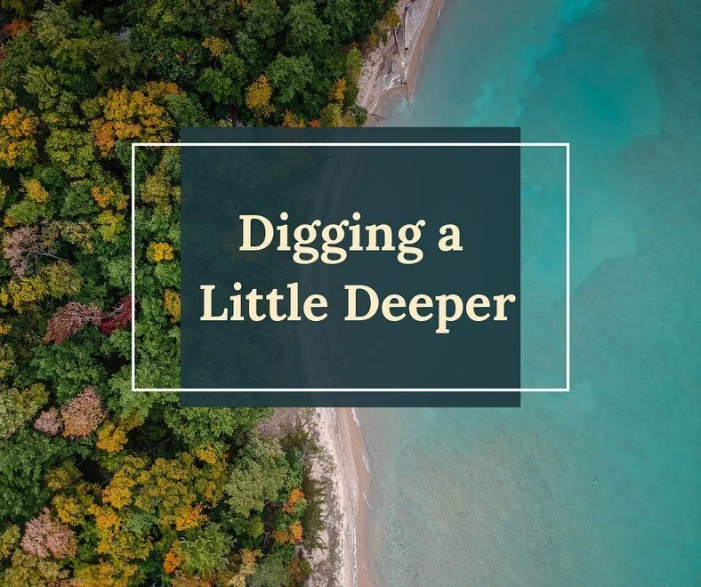 Digging into the past. Digging into the past