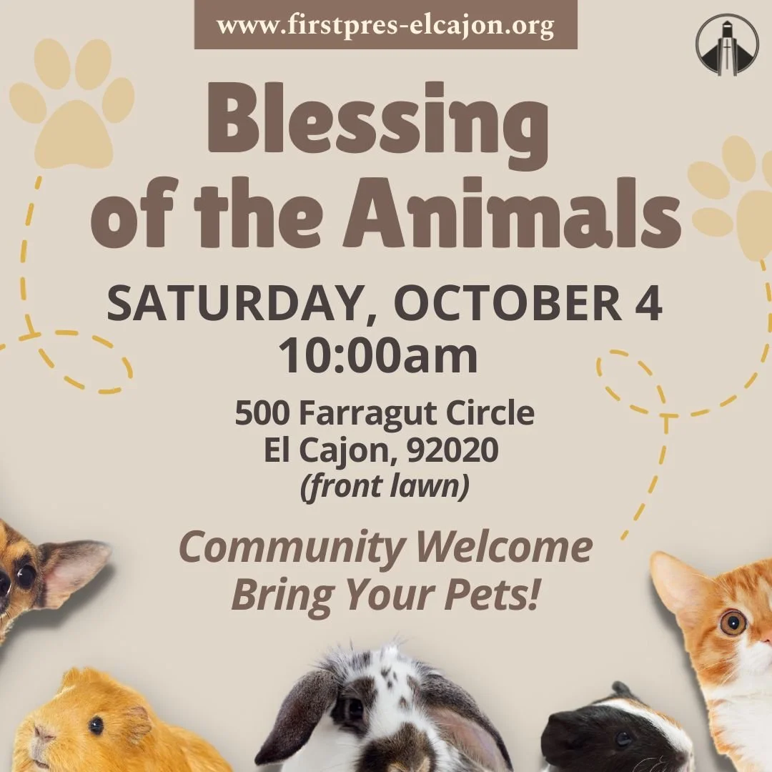 Bring a chair, your pets, stuffed animals, and/or pictures of your pets to our front lawn on Saturday, October 4 at 10am to receive a prayer of blessing. Event sponsored with St. Alban&rsquo;s. Friends, neighbors, and community welcome!