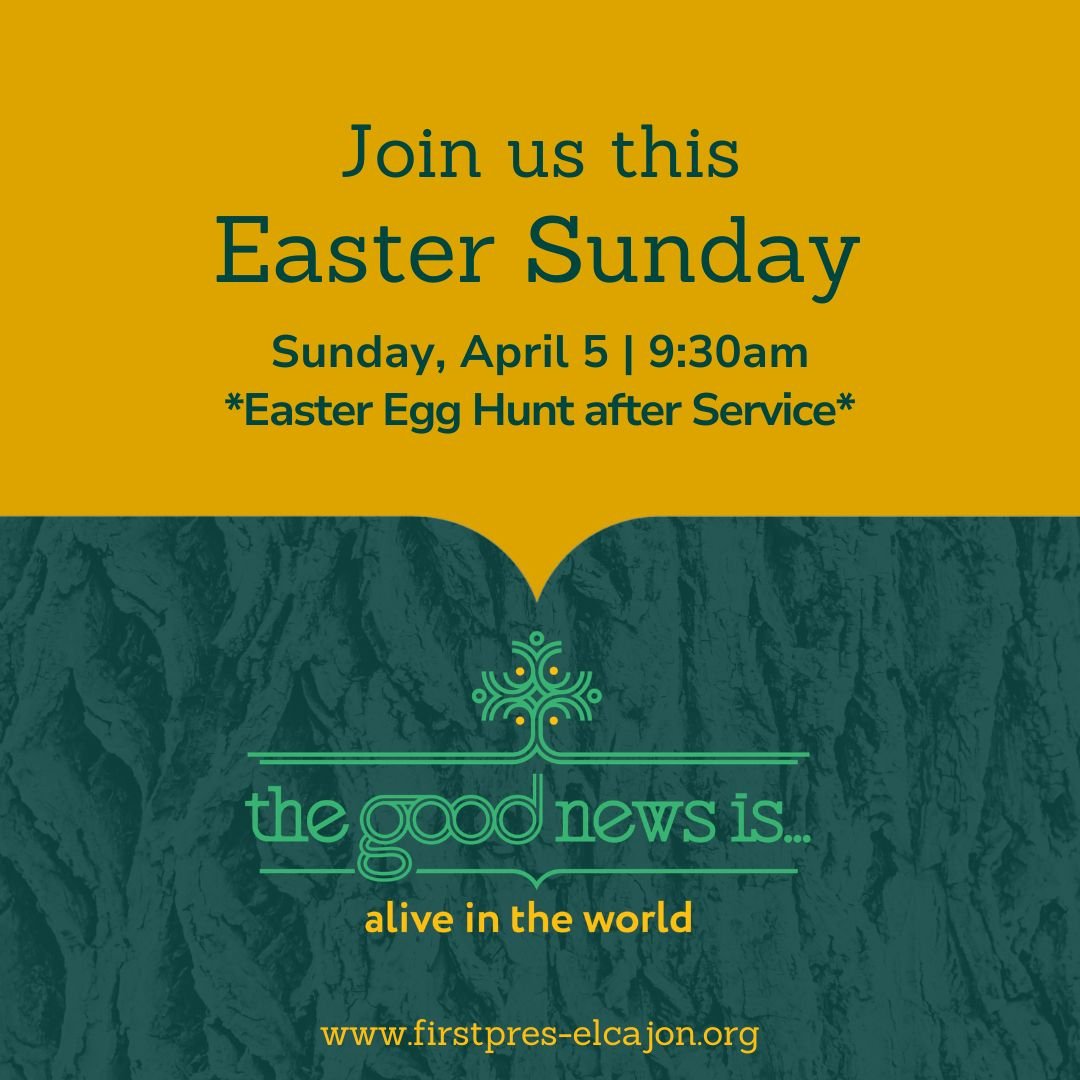Join us at 9:30am in person or online for Easter Sunday! Worship will be followed by coffee and donuts, and an Easter Egg Hunt for the young and the young at heart with St. Alban's Episcopal Church. Nursery and Sunday School available for infants - 5