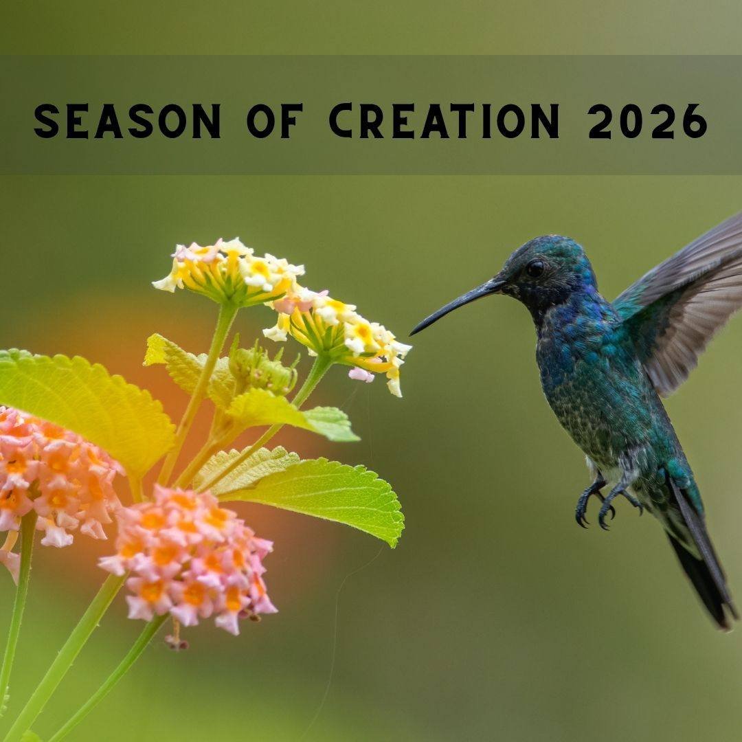 The Season of Creation is here! It is a time for Christians around the world to renew our relationship with God and all creation through prayer, celebration, and action. It begins today, September 1, and concludes October 4, the Feast of St. Francis 