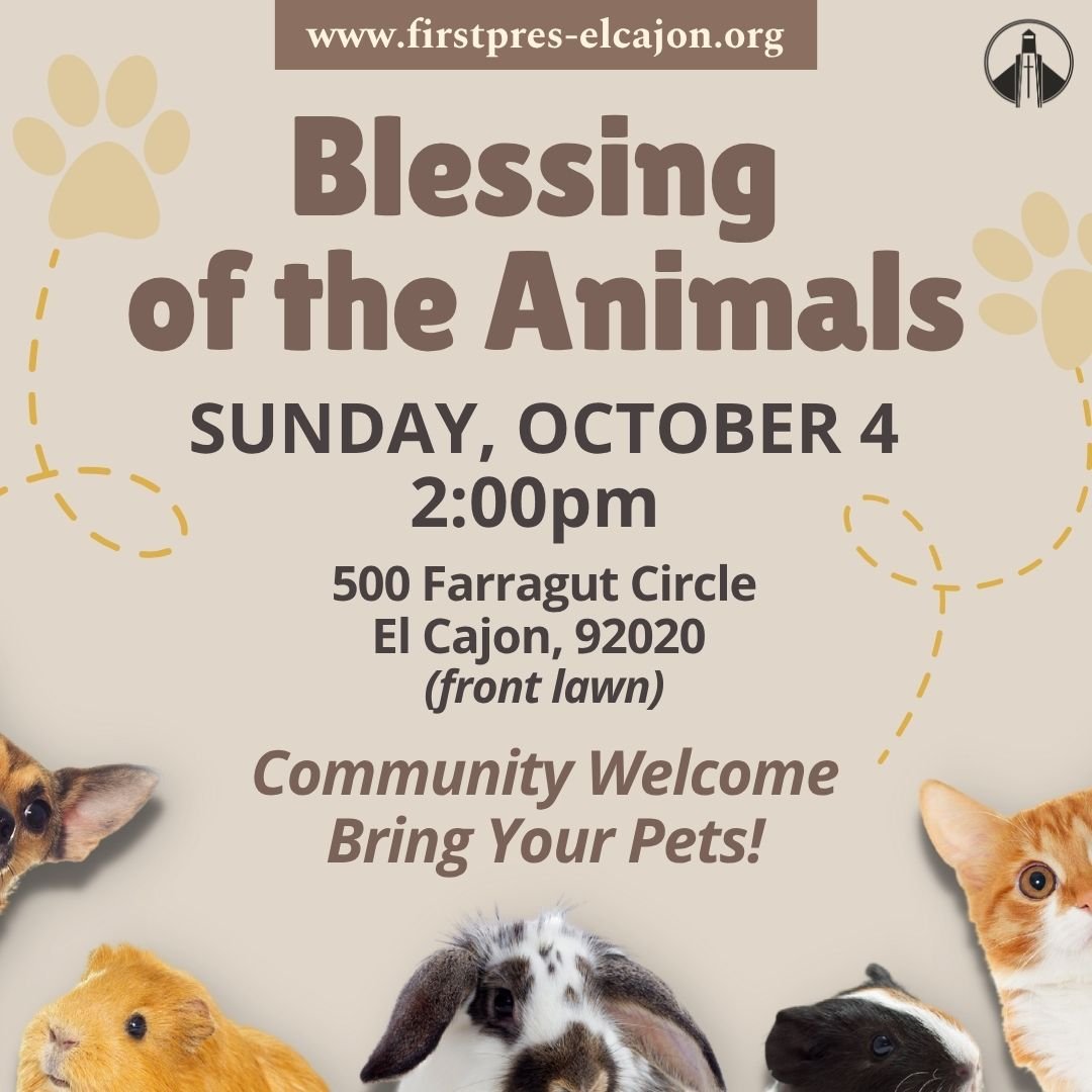 Bring a chair, your pets, stuffed animals, and/or pictures of your pets to the front lawn this Sunday, October 4 at 2pm to receive a prayer of blessing. Event sponsored with St. Alban&rsquo;s. Friends, neighbors, and community welcome!