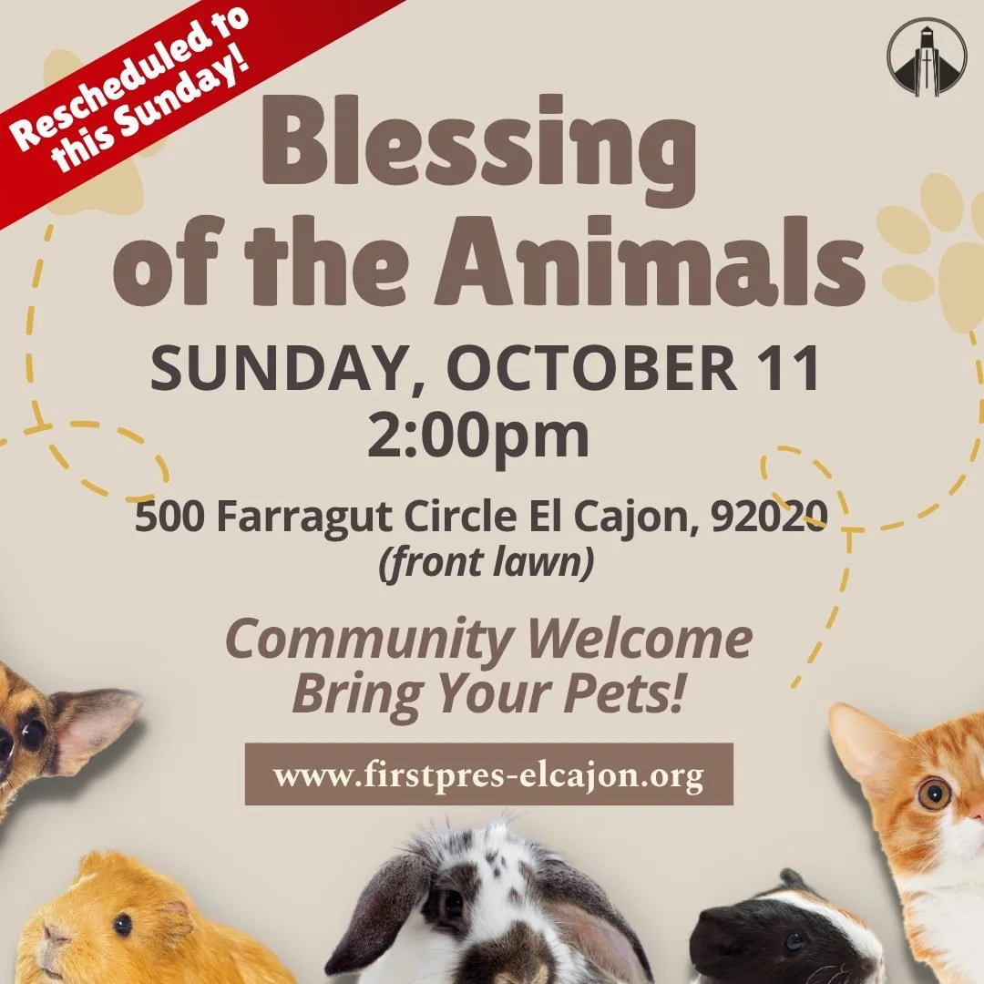 Our Blessing of the Animals event was rescheduled to this Sunday in light of last Sunday's extreme heat. Bring a chair, your pets, stuffed animals, and/or pictures of your pets to the front lawn on Sunday at 2pm to receive a prayer of blessing &mdash