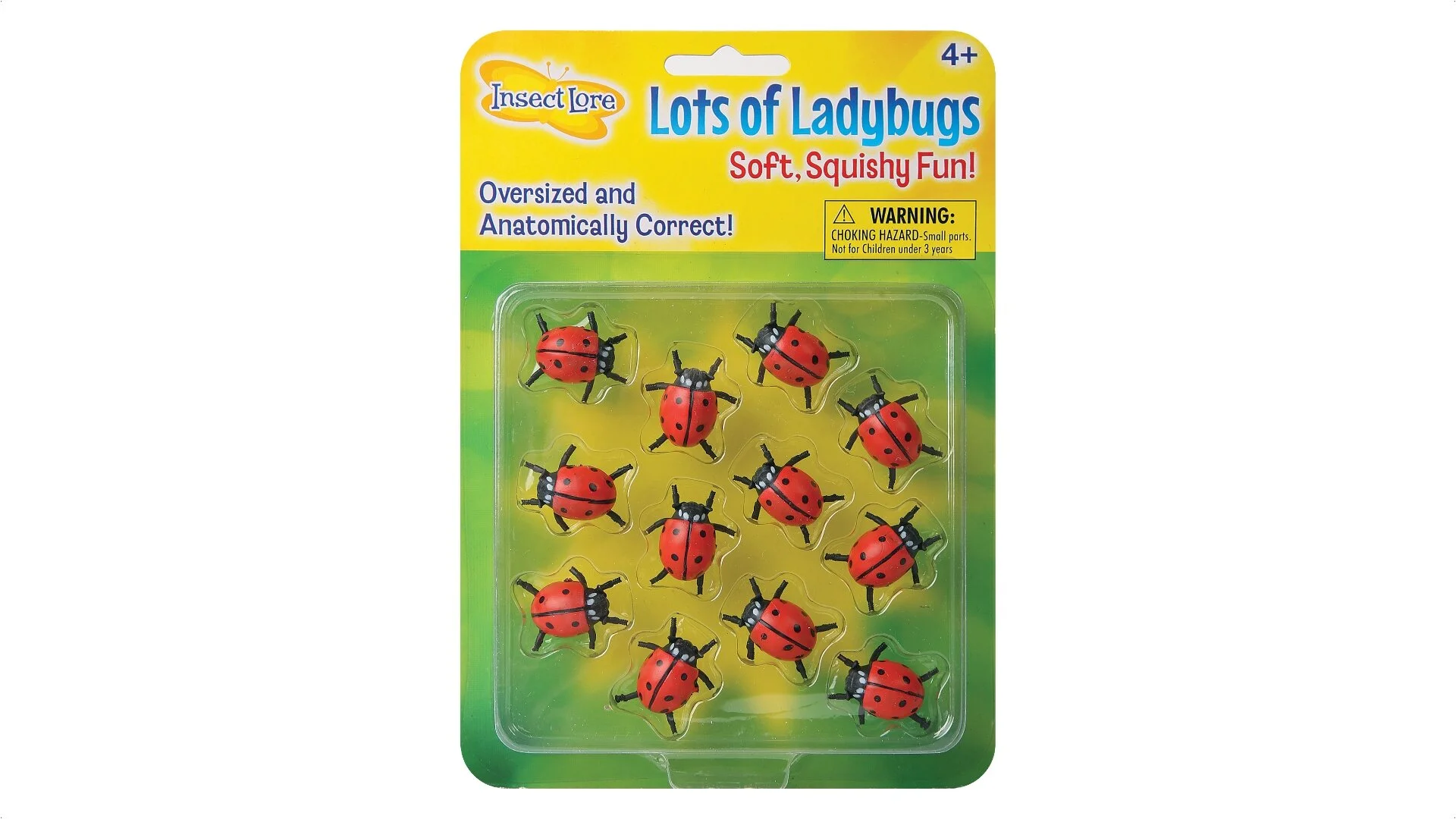 Insect Lore — Sugar B