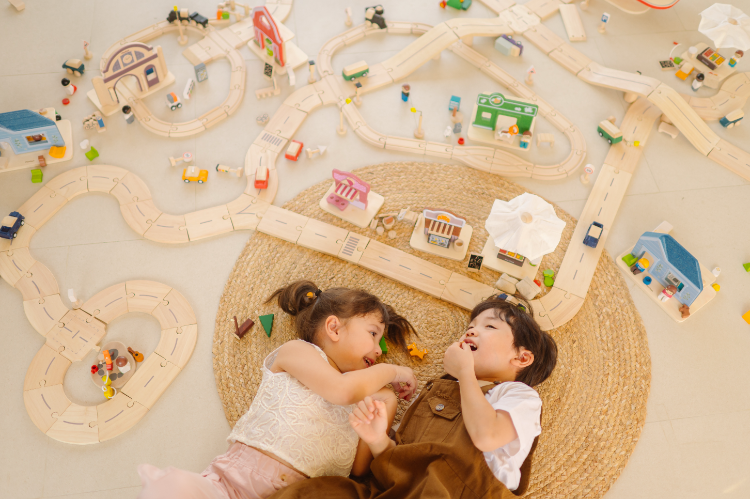 PlanToys