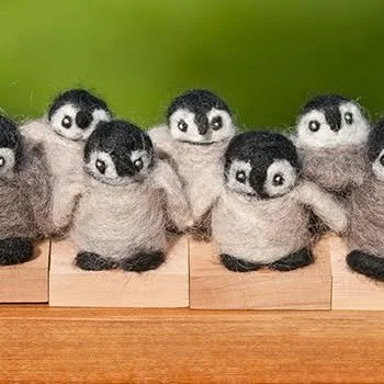 WP-Penguins.jpg