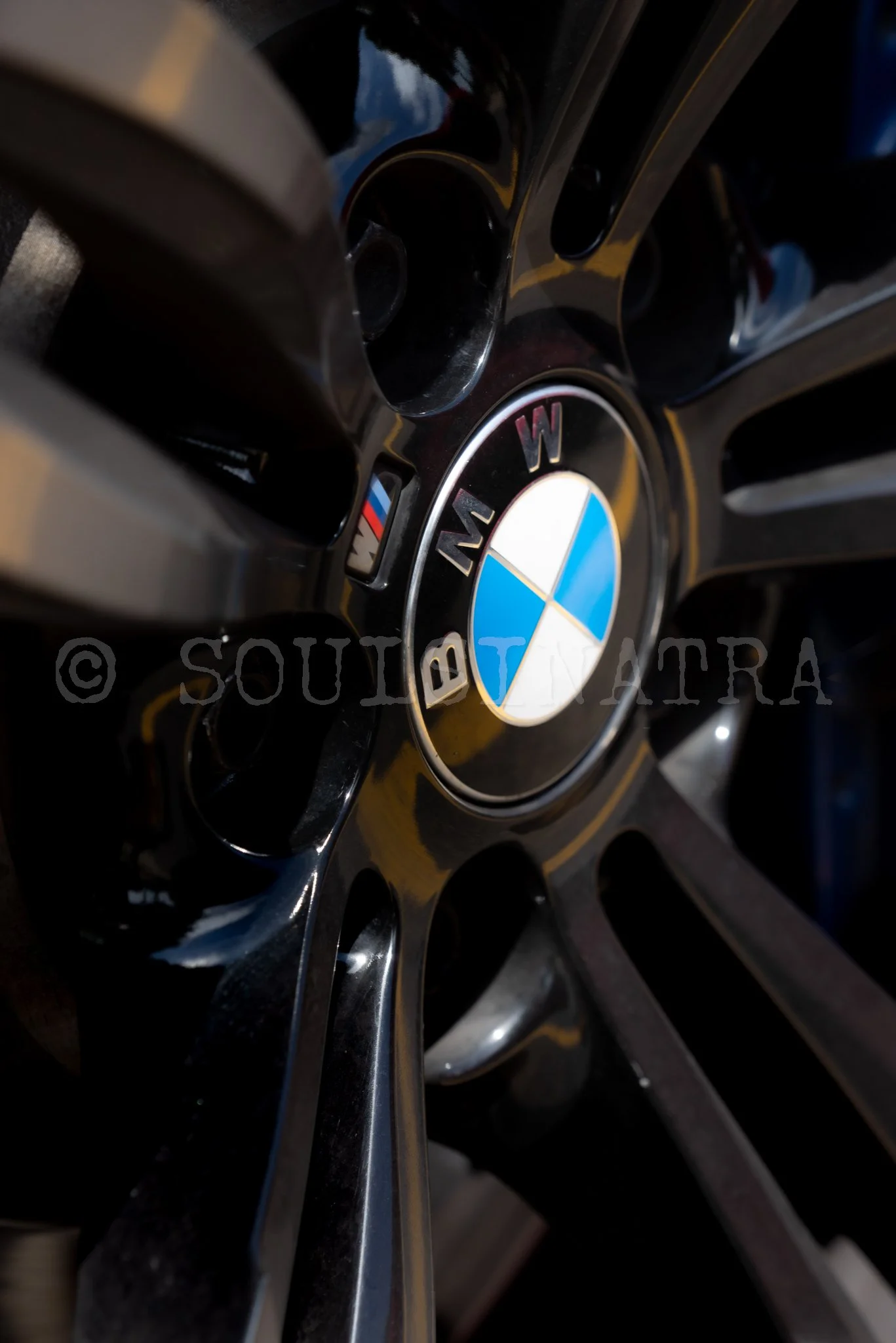 @soulsinatra_Alma Hueso-61.jpg